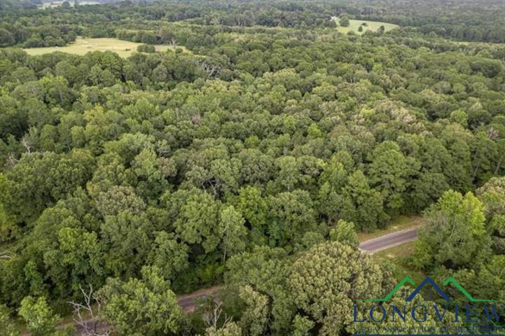 TBD Lot 2 Cr 2344, Tyler, Texas image 9