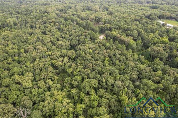 TBD Lot 2 Cr 2344, Tyler, Texas image 5