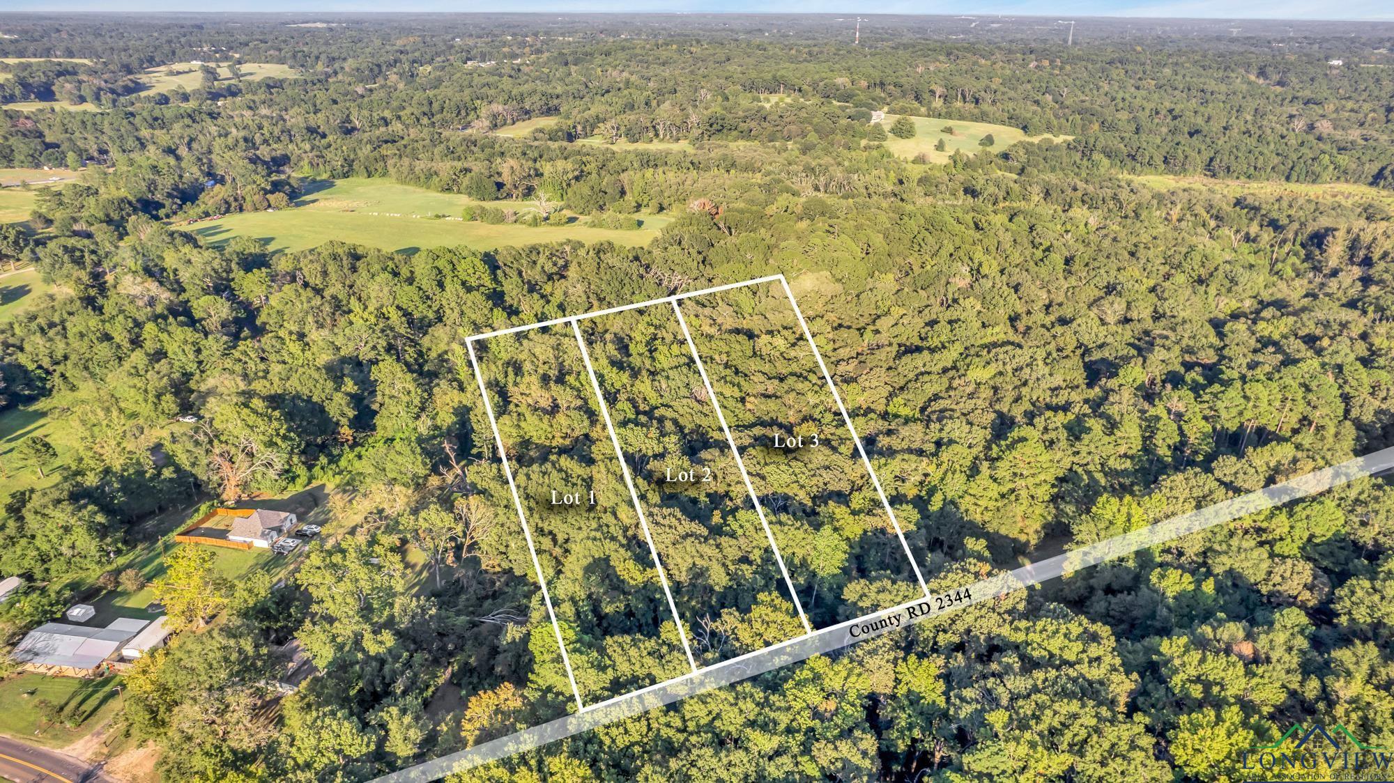 TBD Lot 2 Cr 2344, Tyler, Texas image 2