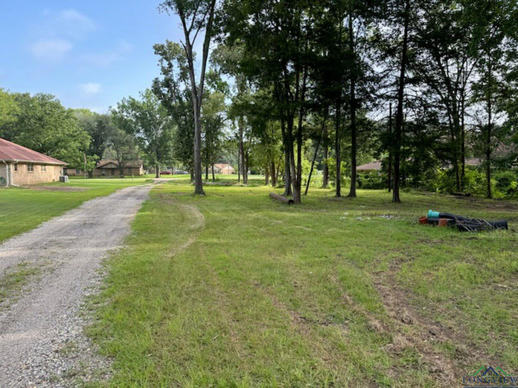 116 Leisure Ln, Whitehouse, Texas image 1