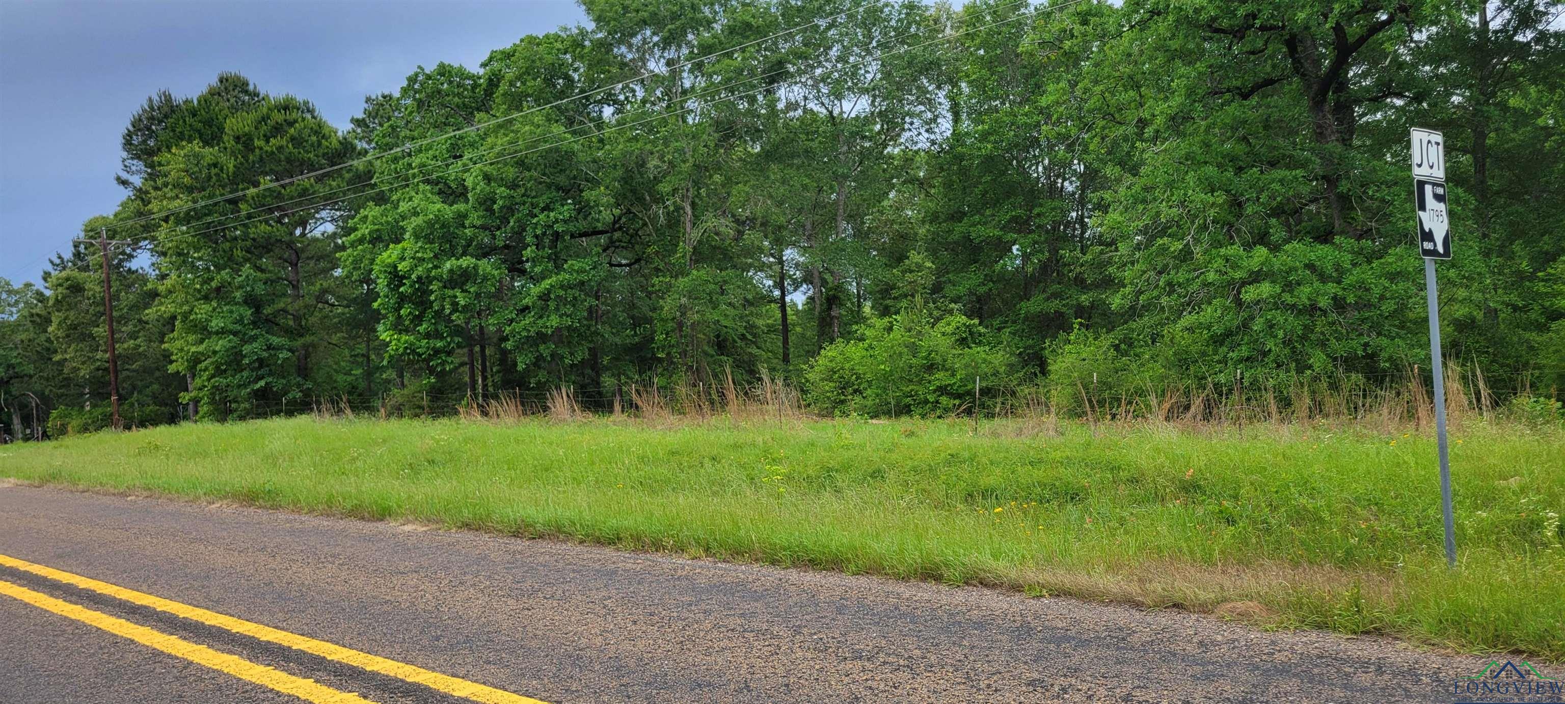 Tract 3 Fm 2659, Hawkins, Texas image 2