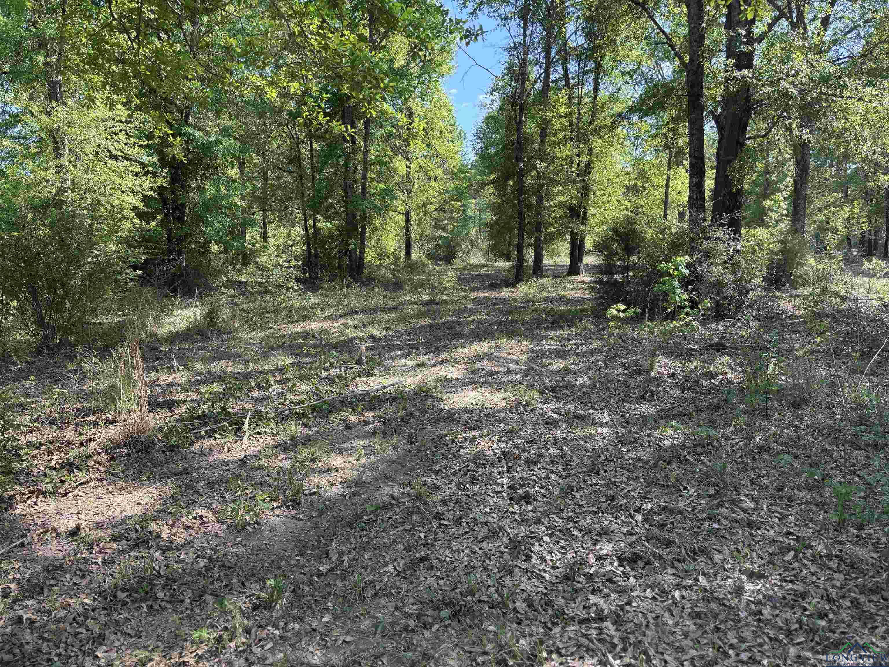 Tract 3 Fm 2659, Hawkins, Texas image 14