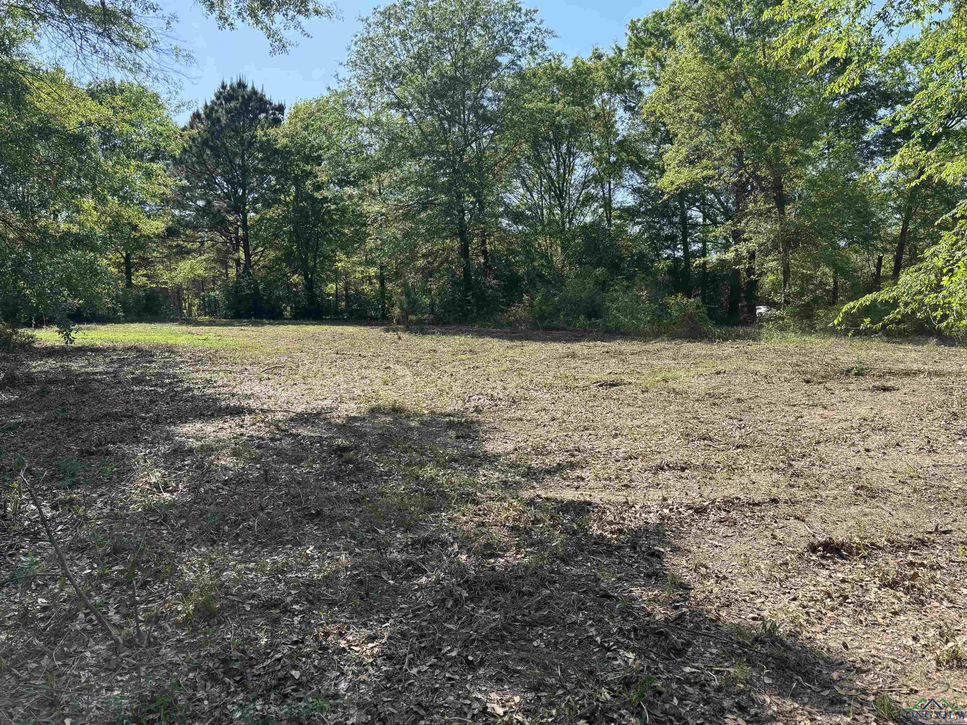Tract 3 Fm 2659, Hawkins, Texas image 13