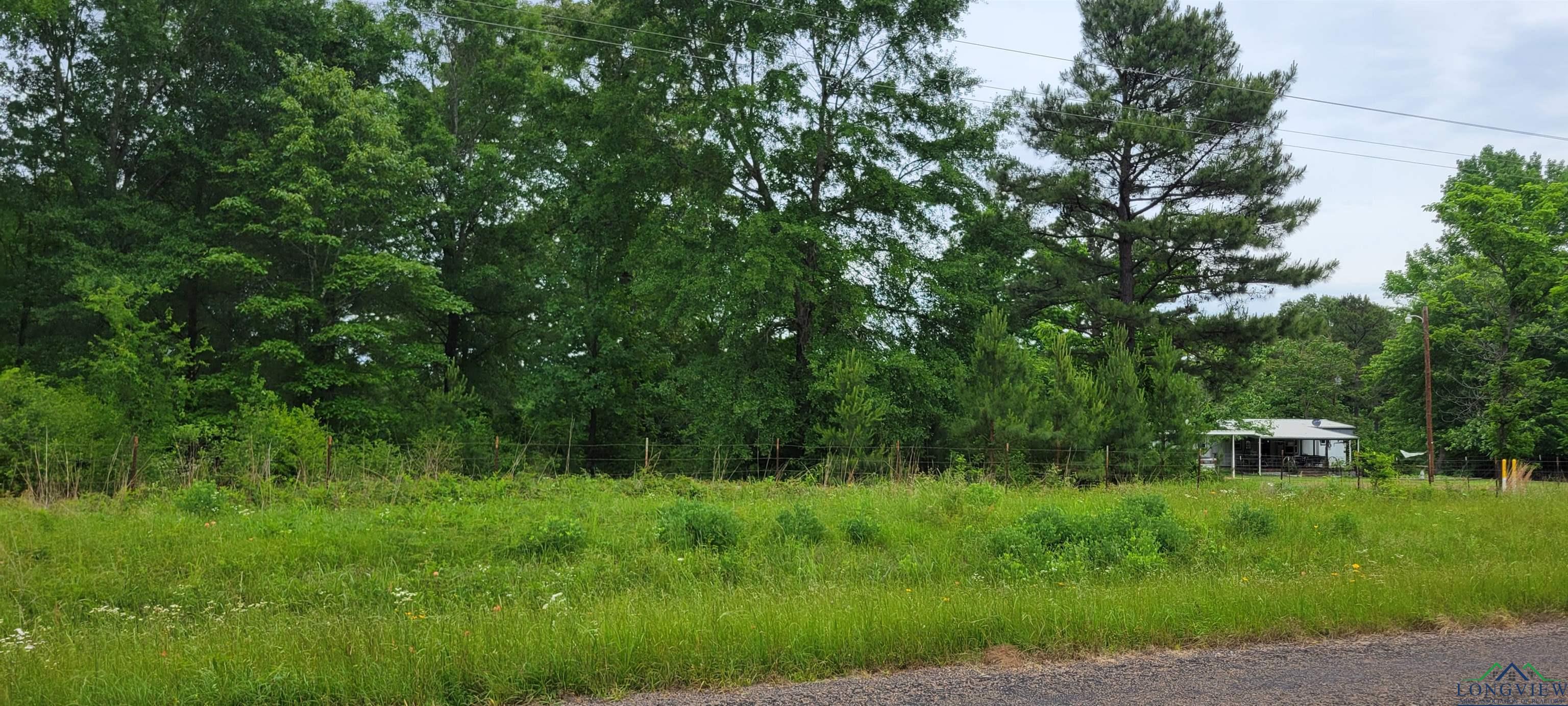 Tract 3 Fm 2659, Hawkins, Texas image 4