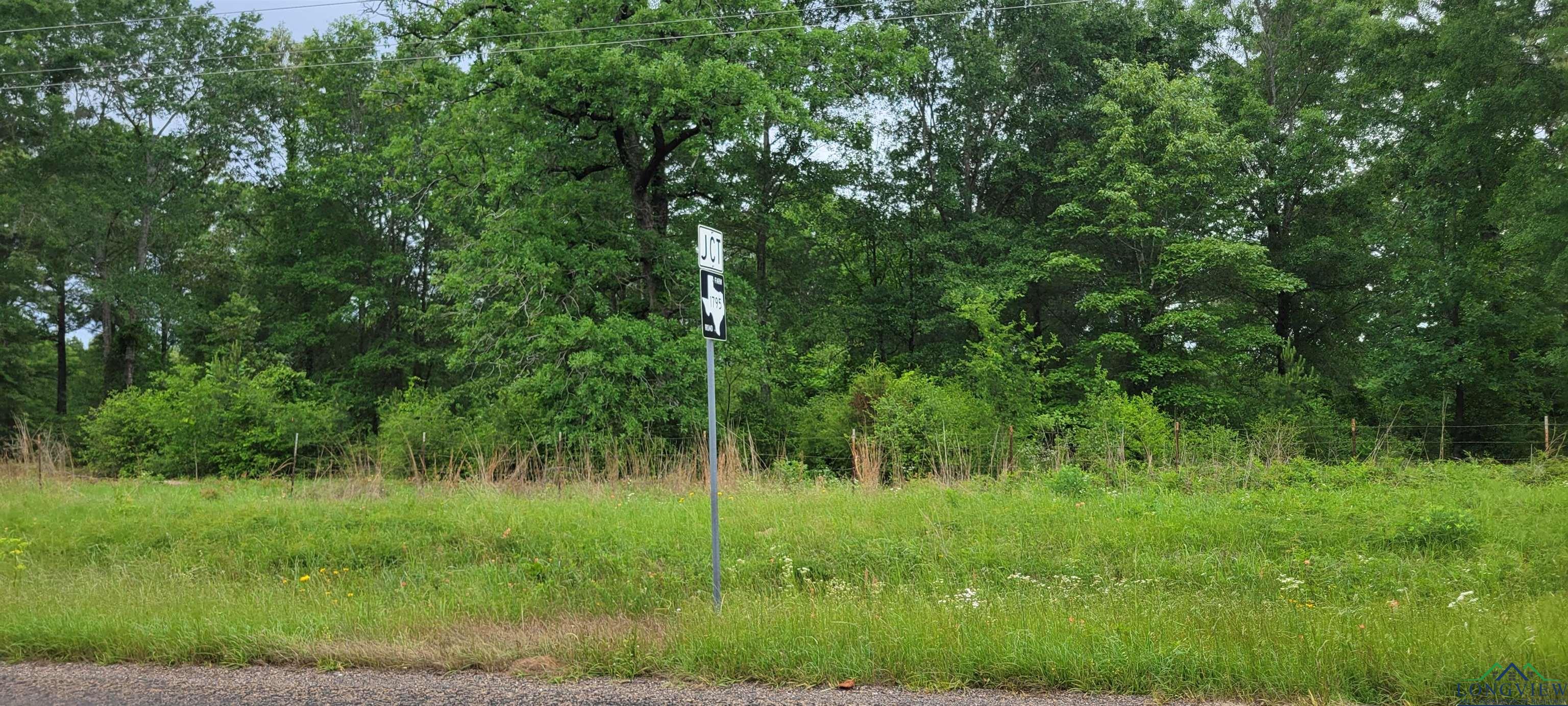 Tract 3 Fm 2659, Hawkins, Texas image 3