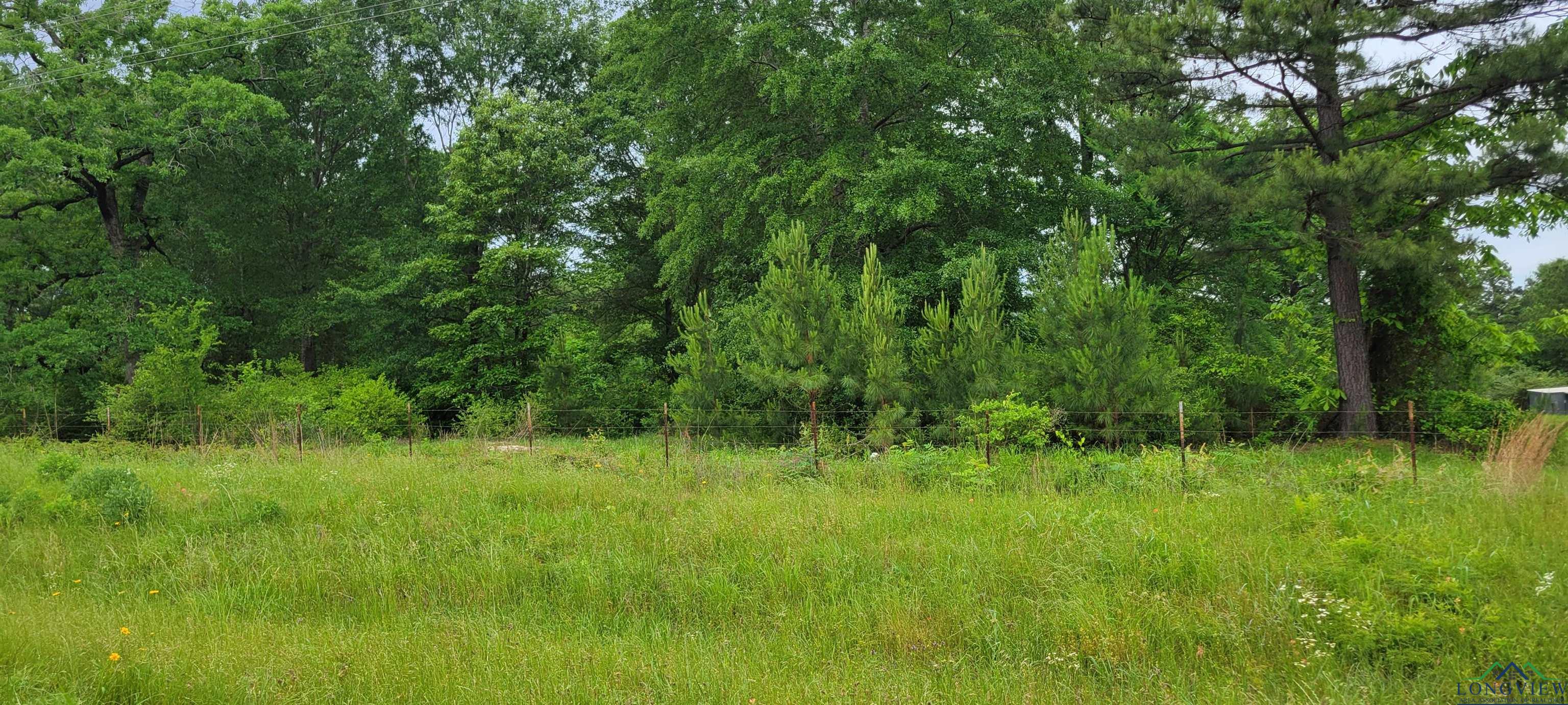 Tract 3 Fm 2659, Hawkins, Texas image 5