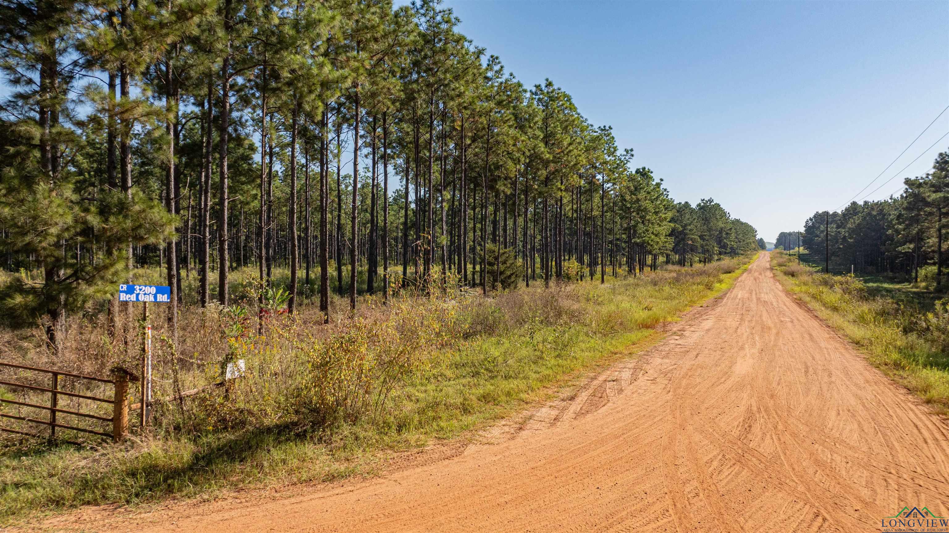 TBD Red Oak Rd Tract #8, Hallsville, Texas image 4