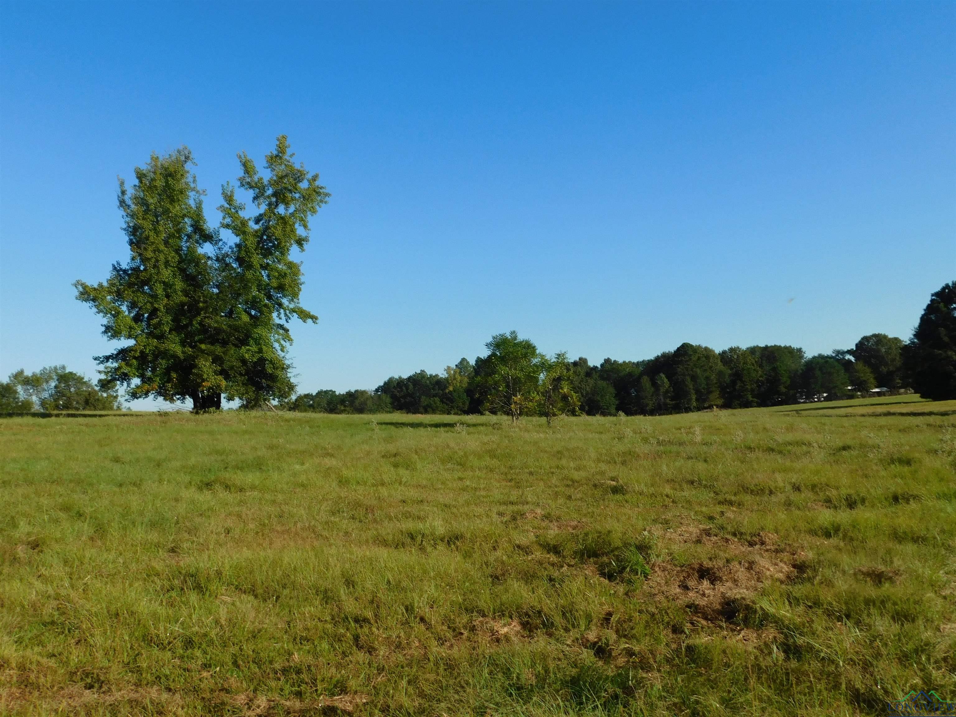 TBD Deer Rd, Gilmer, Texas image 10