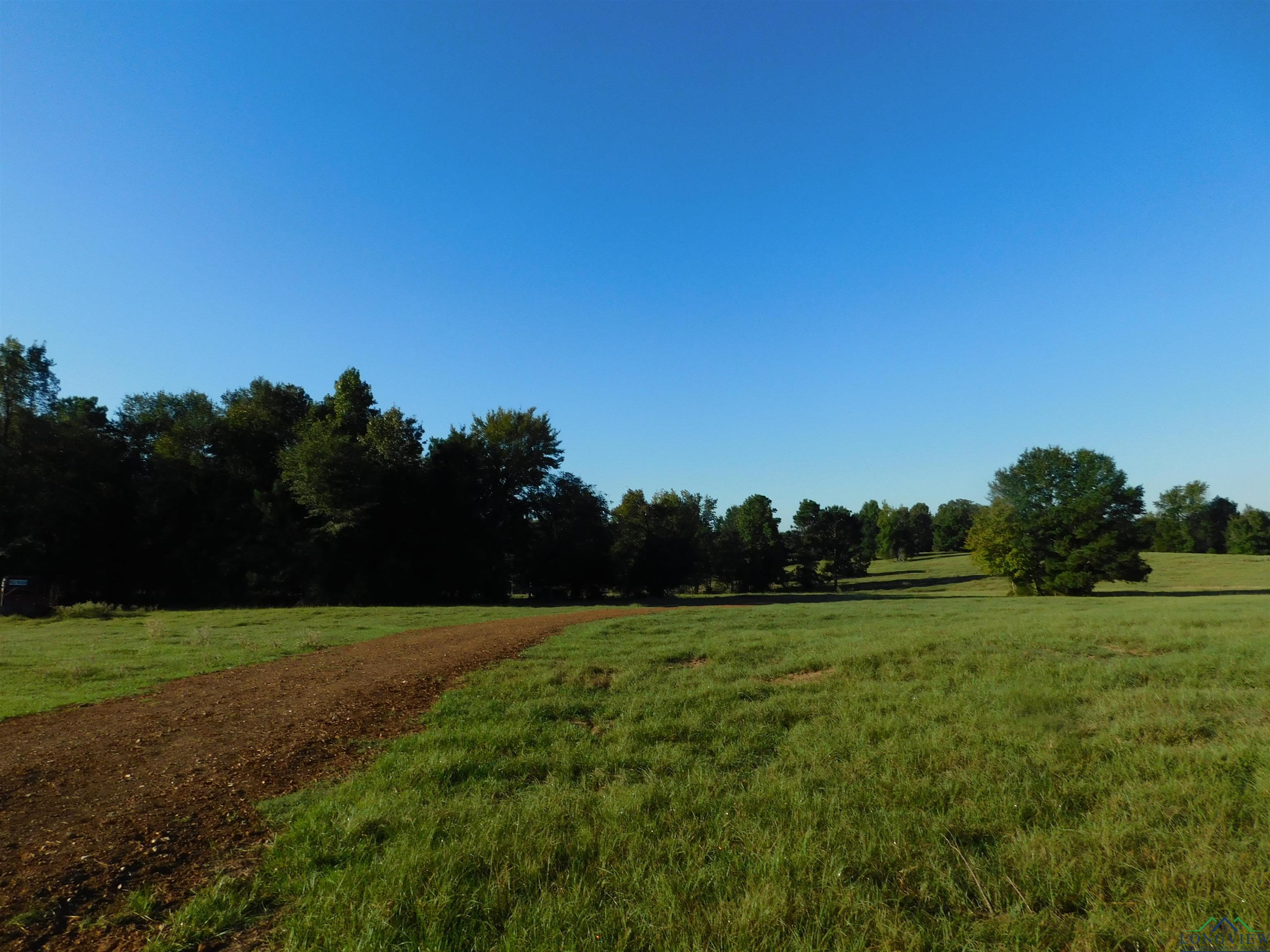 TBD Deer Rd, Gilmer, Texas image 4