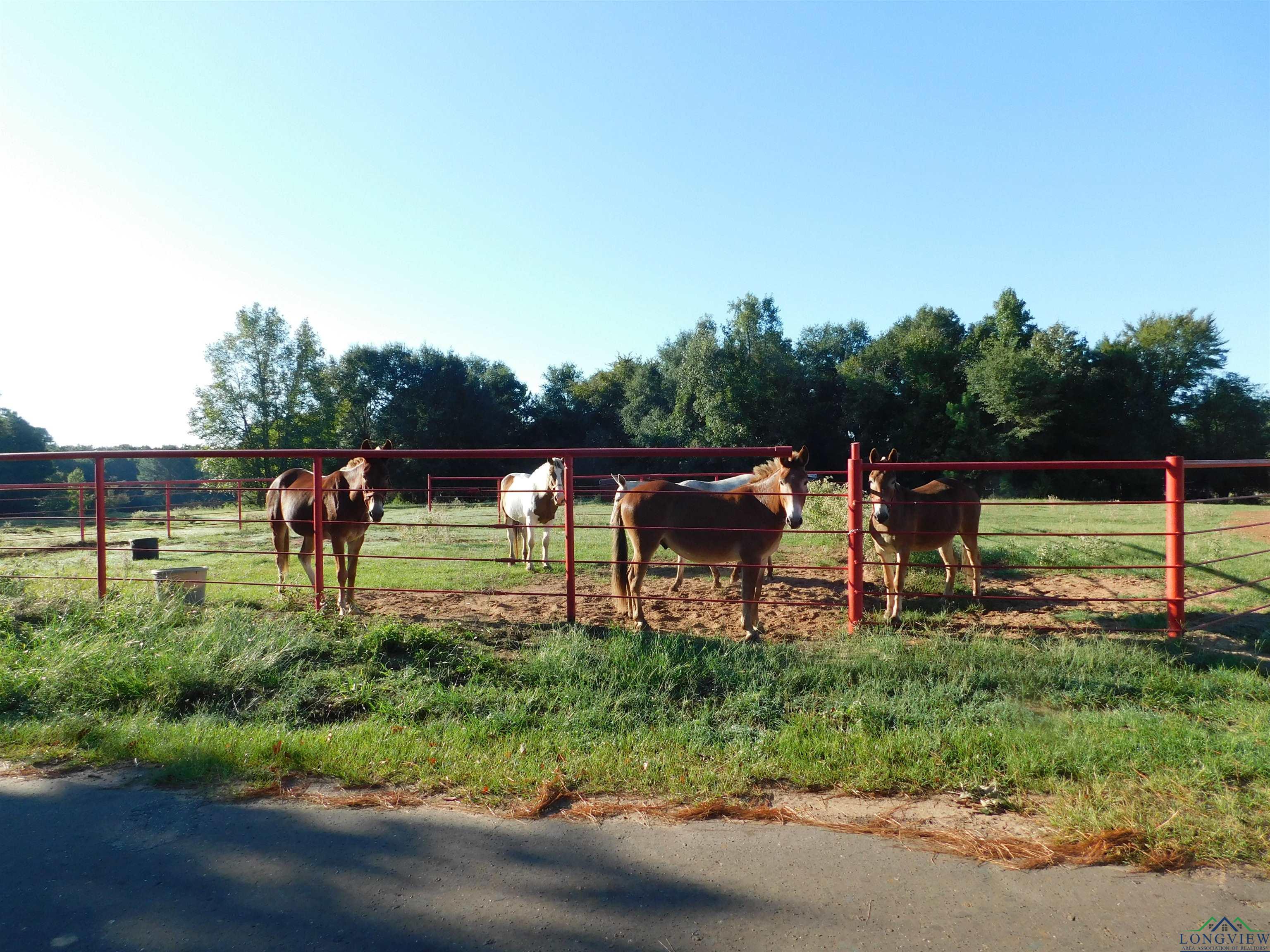 TBD Deer Rd, Gilmer, Texas image 2