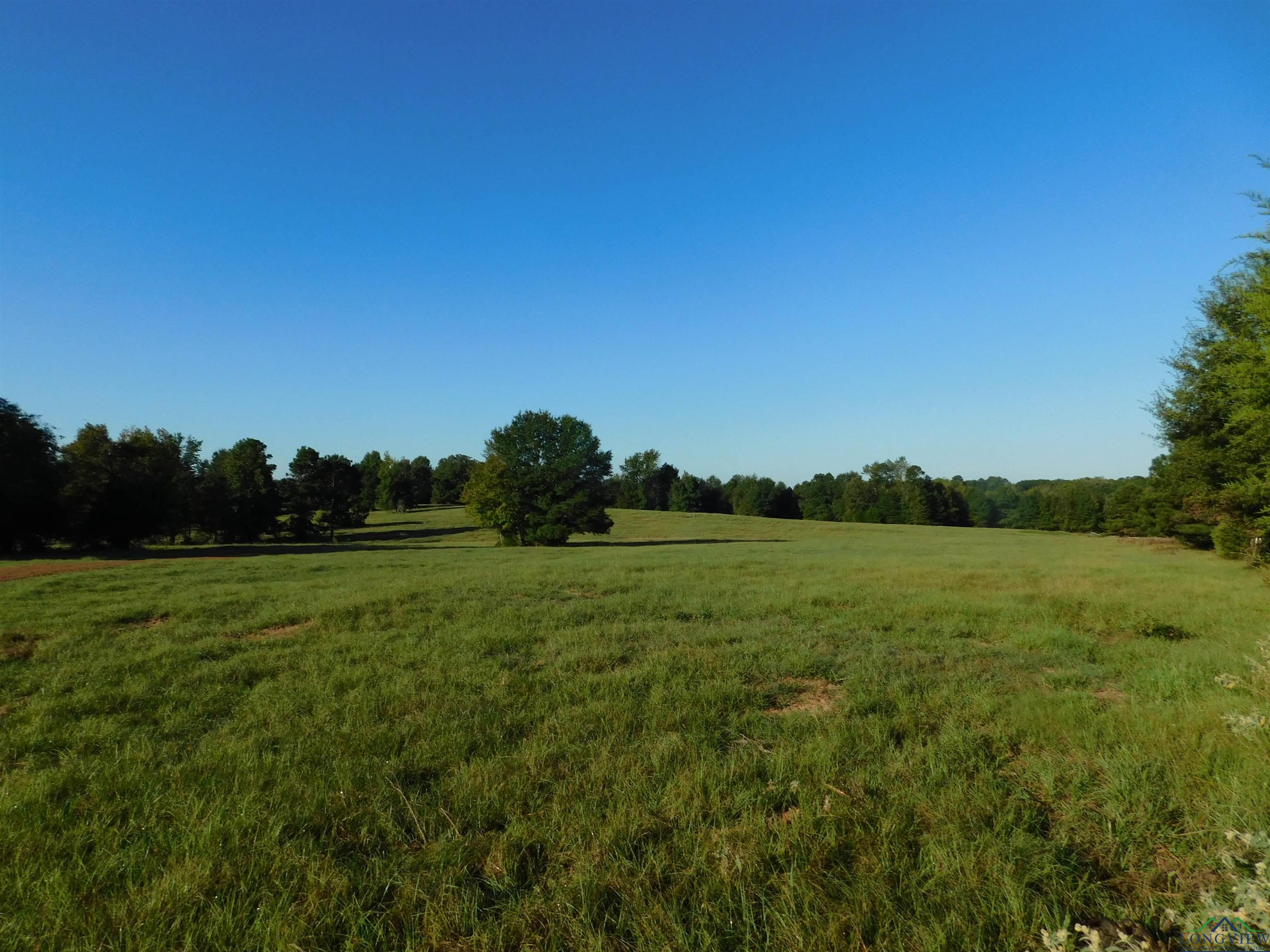 TBD Deer Rd, Gilmer, Texas image 3