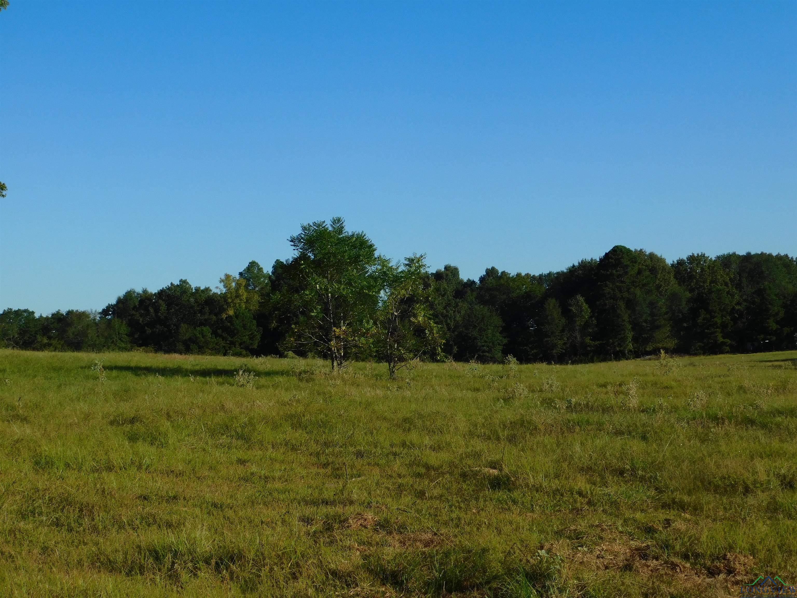 TBD Deer Rd, Gilmer, Texas image 11