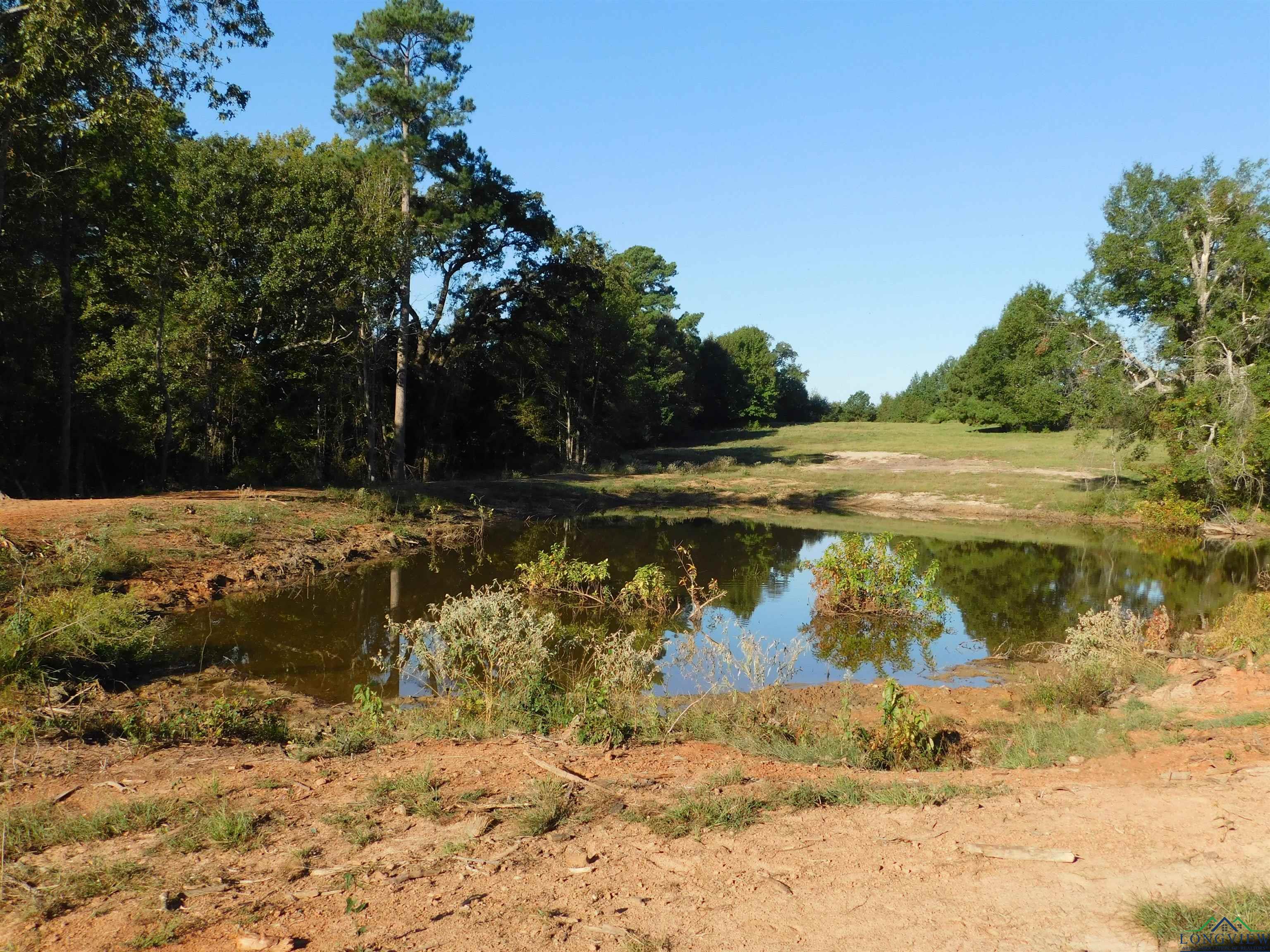 TBD Deer Rd, Gilmer, Texas image 9