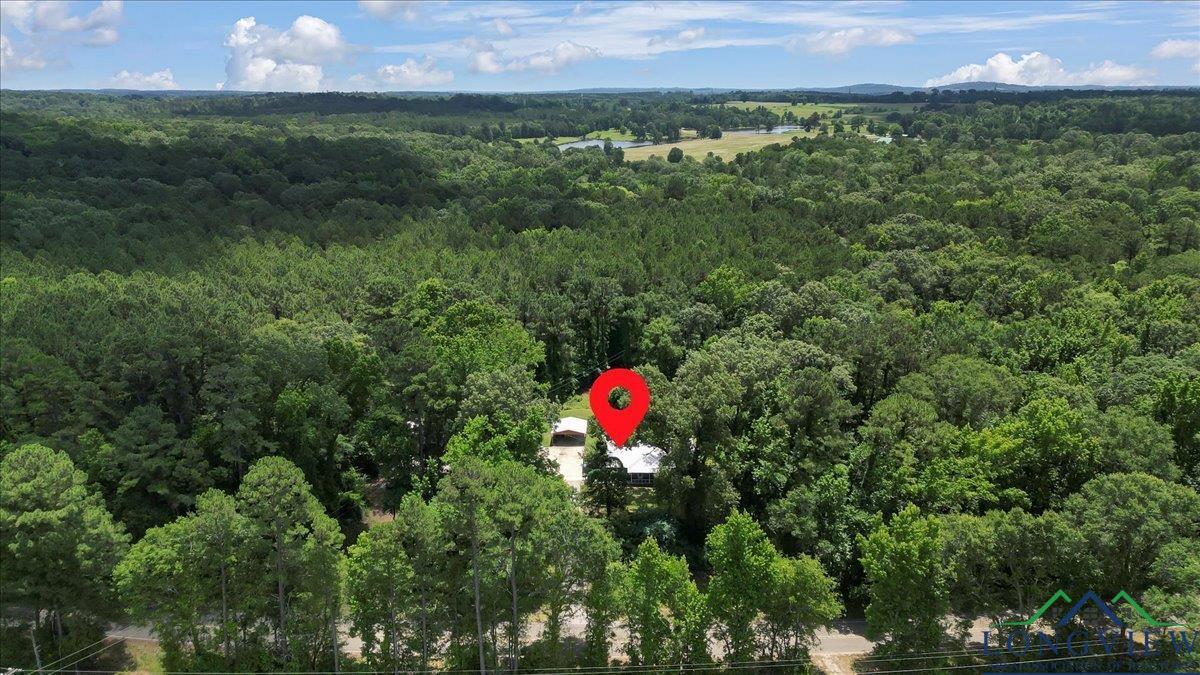 584 E Fm 1798, Mount Enterprise, Texas image 38