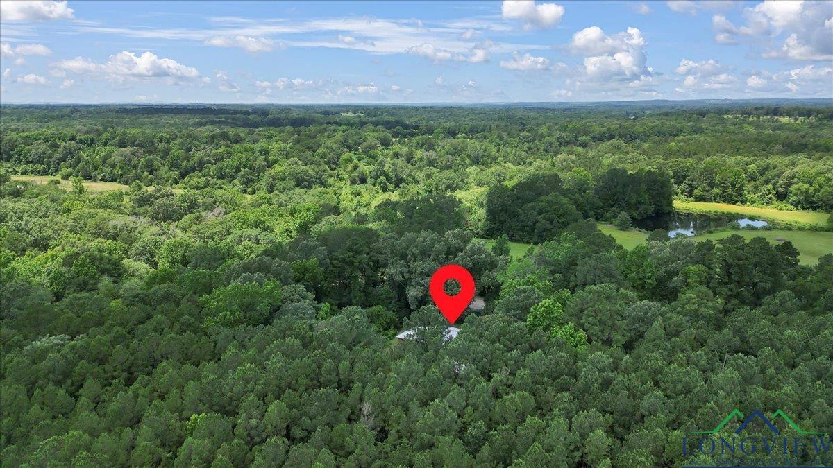 584 E Fm 1798, Mount Enterprise, Texas image 40