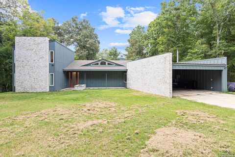 Homes For Sale - 242 Pr (private Road) 4322<br/> Hallsville, TX 75650