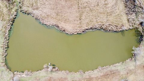 Vacant Land For Sale - TBD Cr 1460<br/> Linden, TX 75563