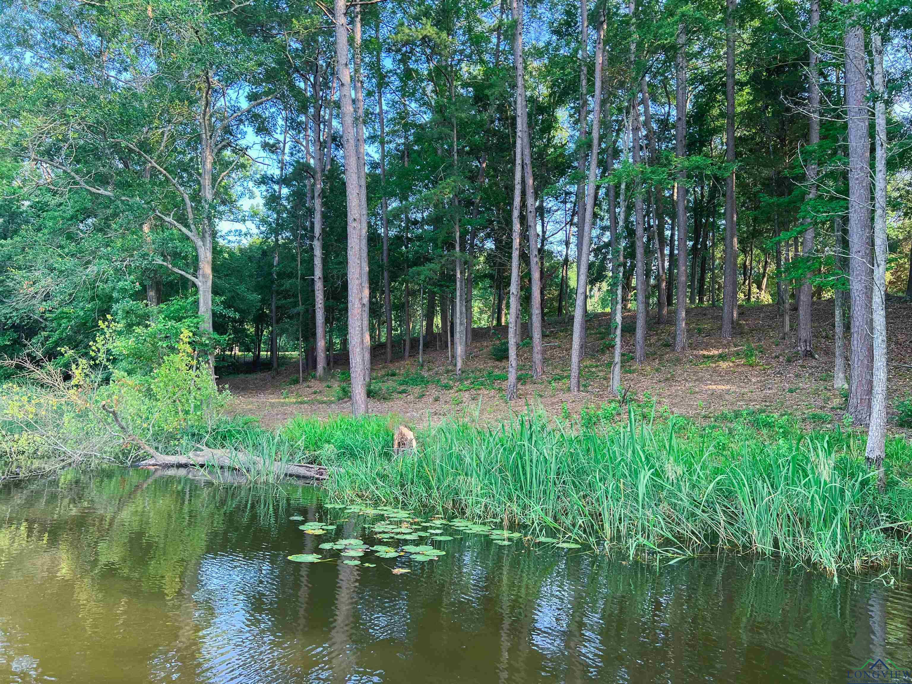 17961 Gordons Landing Rd, Arp, Texas image 4