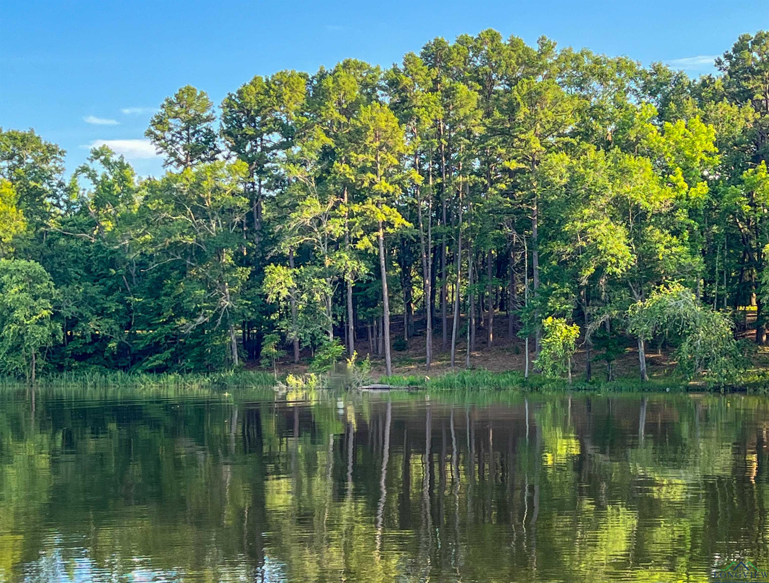 17961 Gordons Landing Rd, Arp, Texas image 10