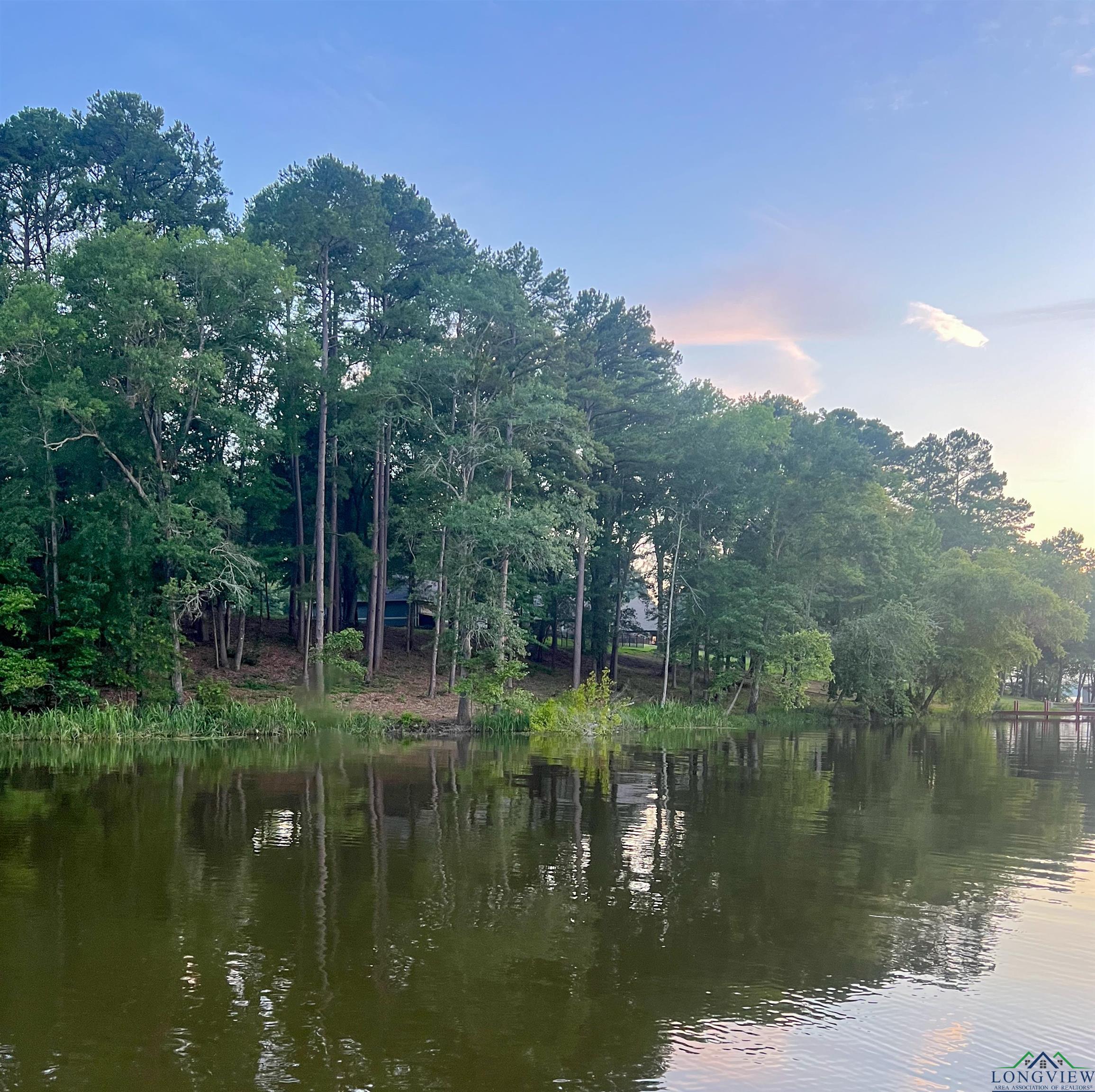 17961 Gordons Landing Rd, Arp, Texas image 11