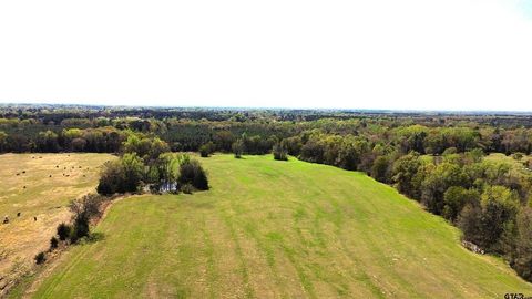 Vacant Land For Sale - 808 W Fm 1519<br/> Camp County, Pittsburg, TX 75686