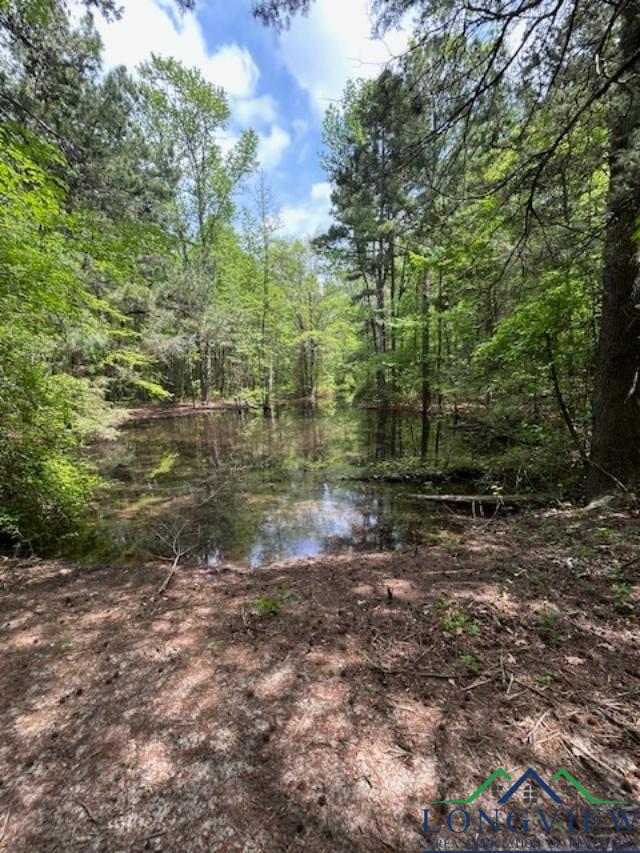 Lot 2 County Road 4365, Mount Pleasant, Texas image 4