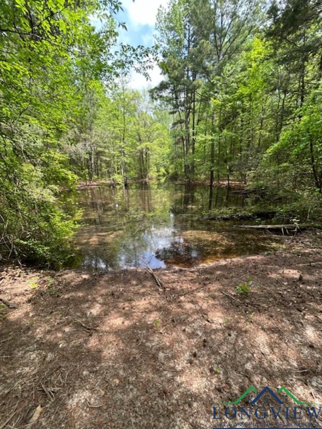 Lot 2 County Road 4365, Mount Pleasant, Texas image 3