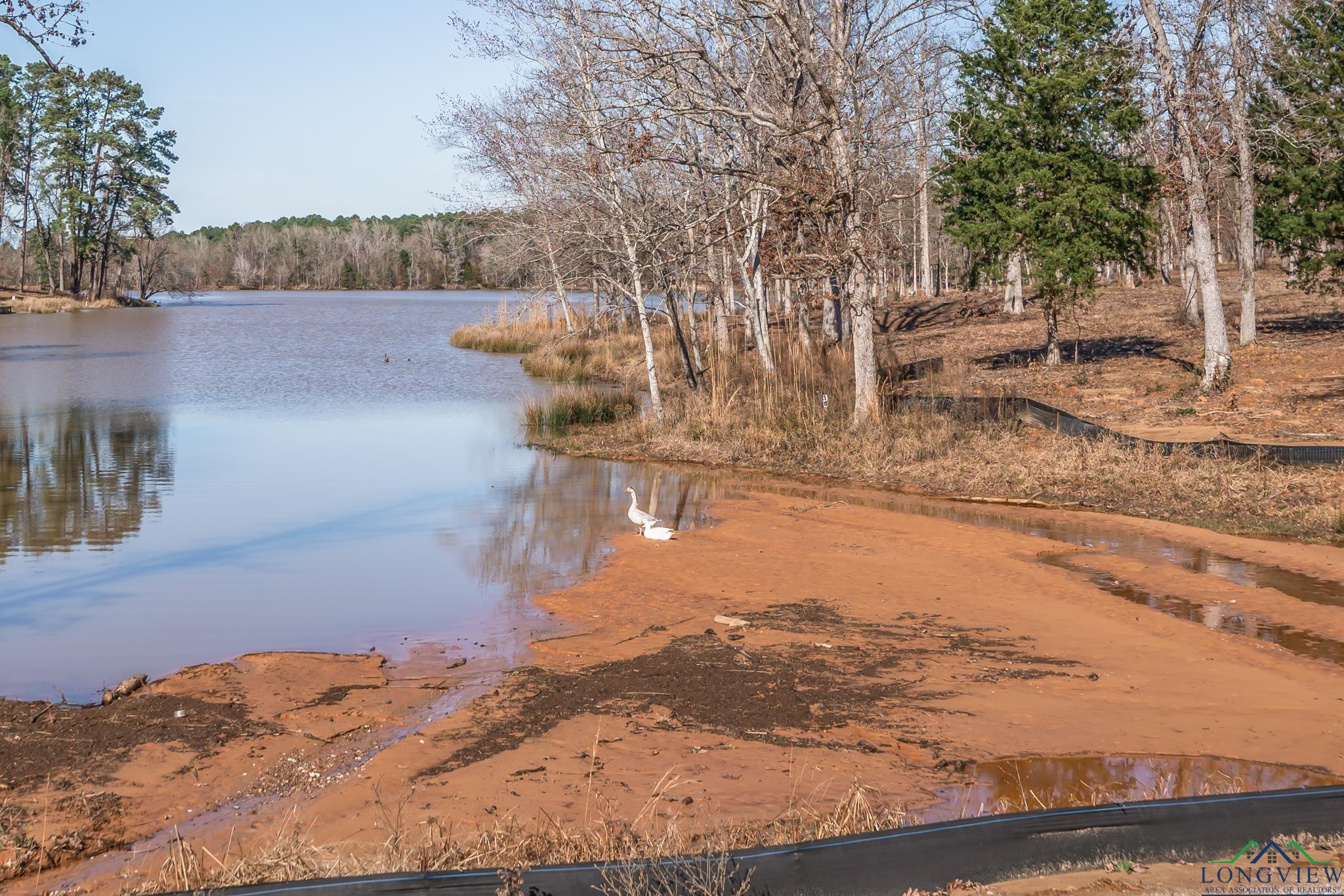 Lot 49 Marble Way, Hallsville, Texas image 7