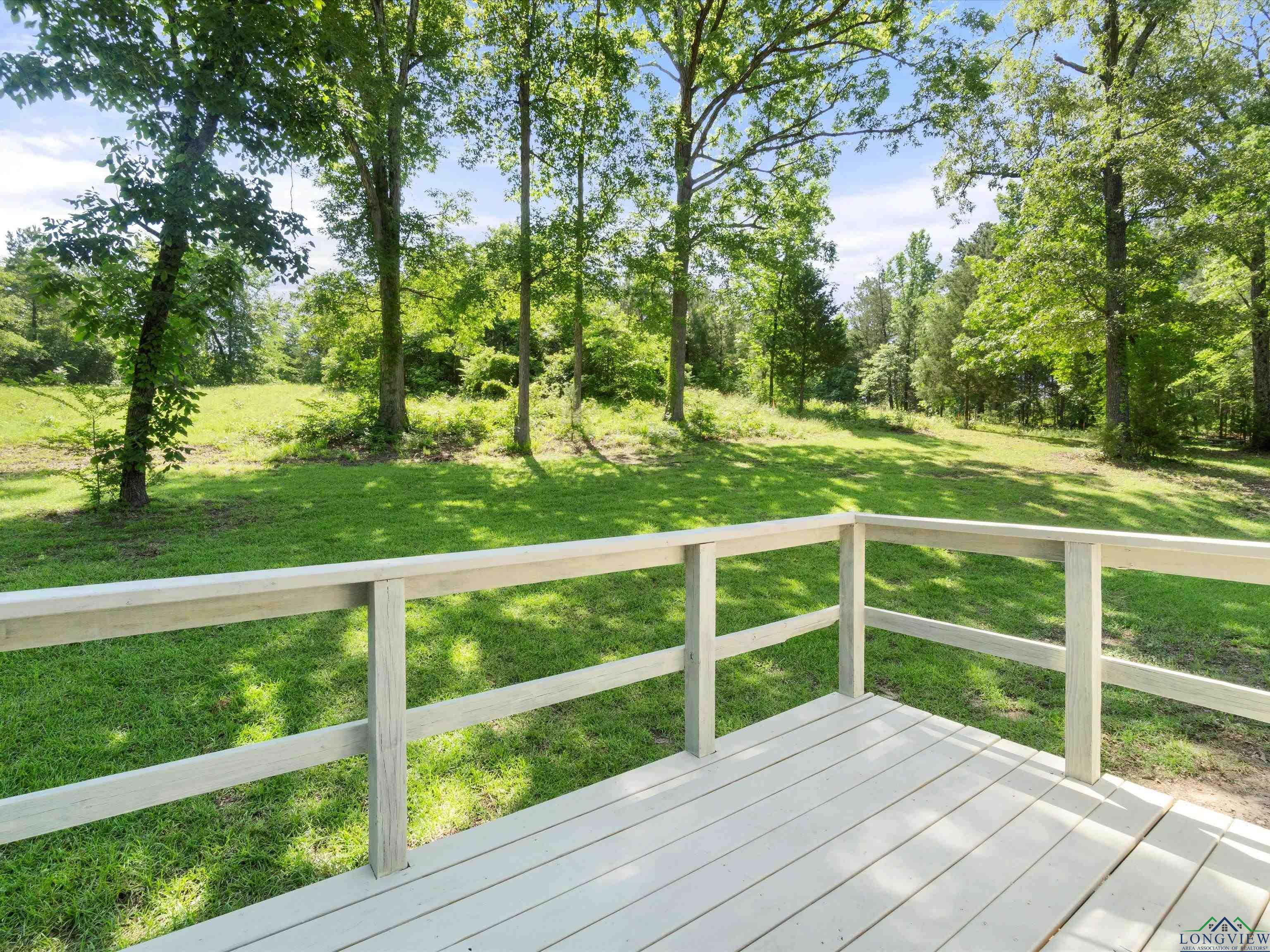 787 County Road 2201, Daingerfield, Texas image 22