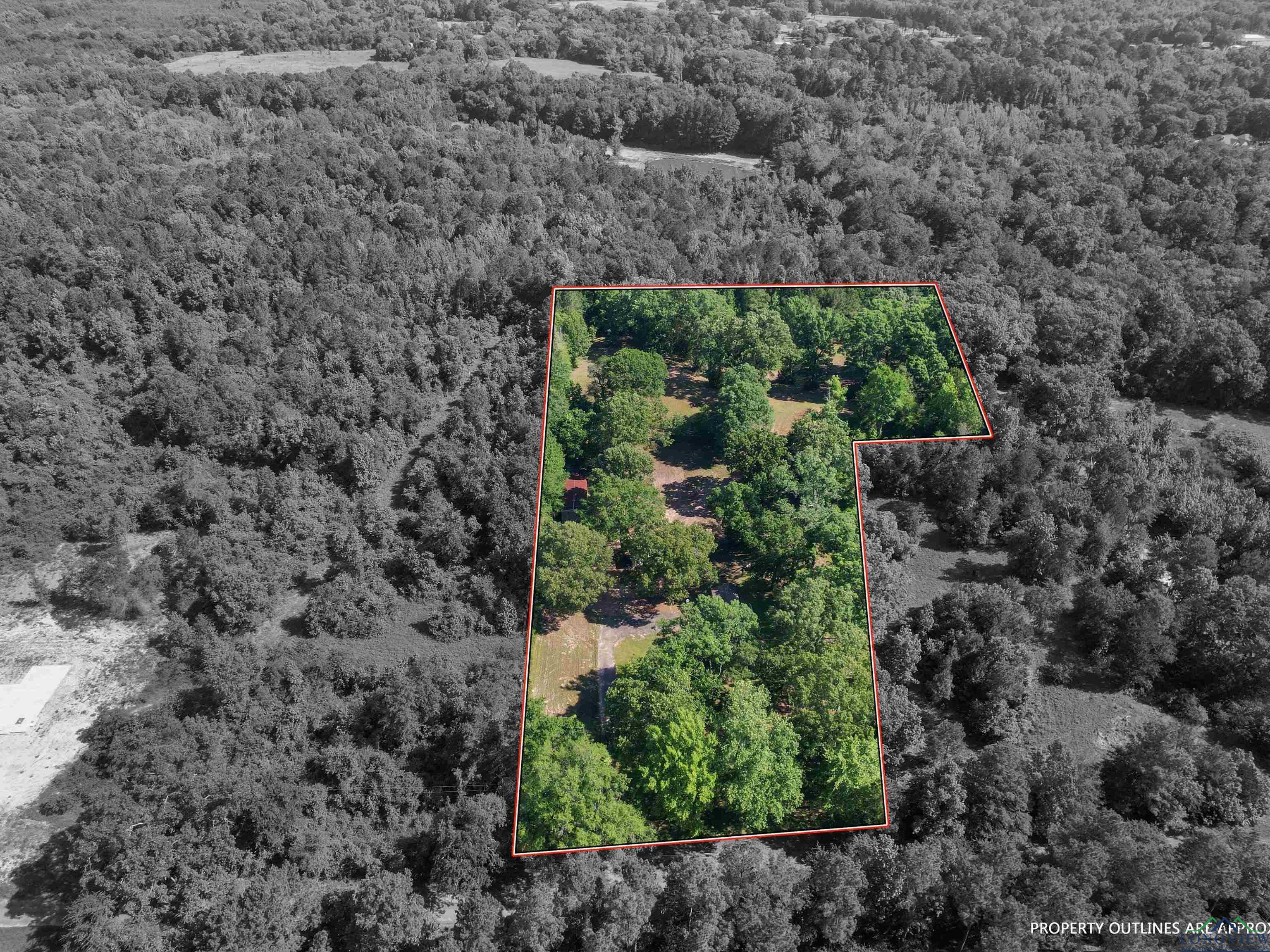 787 County Road 2201, Daingerfield, Texas image 2