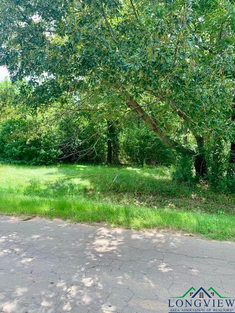 Vacant Land For Sale - 294 Mollie Ln<br/> Harrison County, Marshall, TX 75672