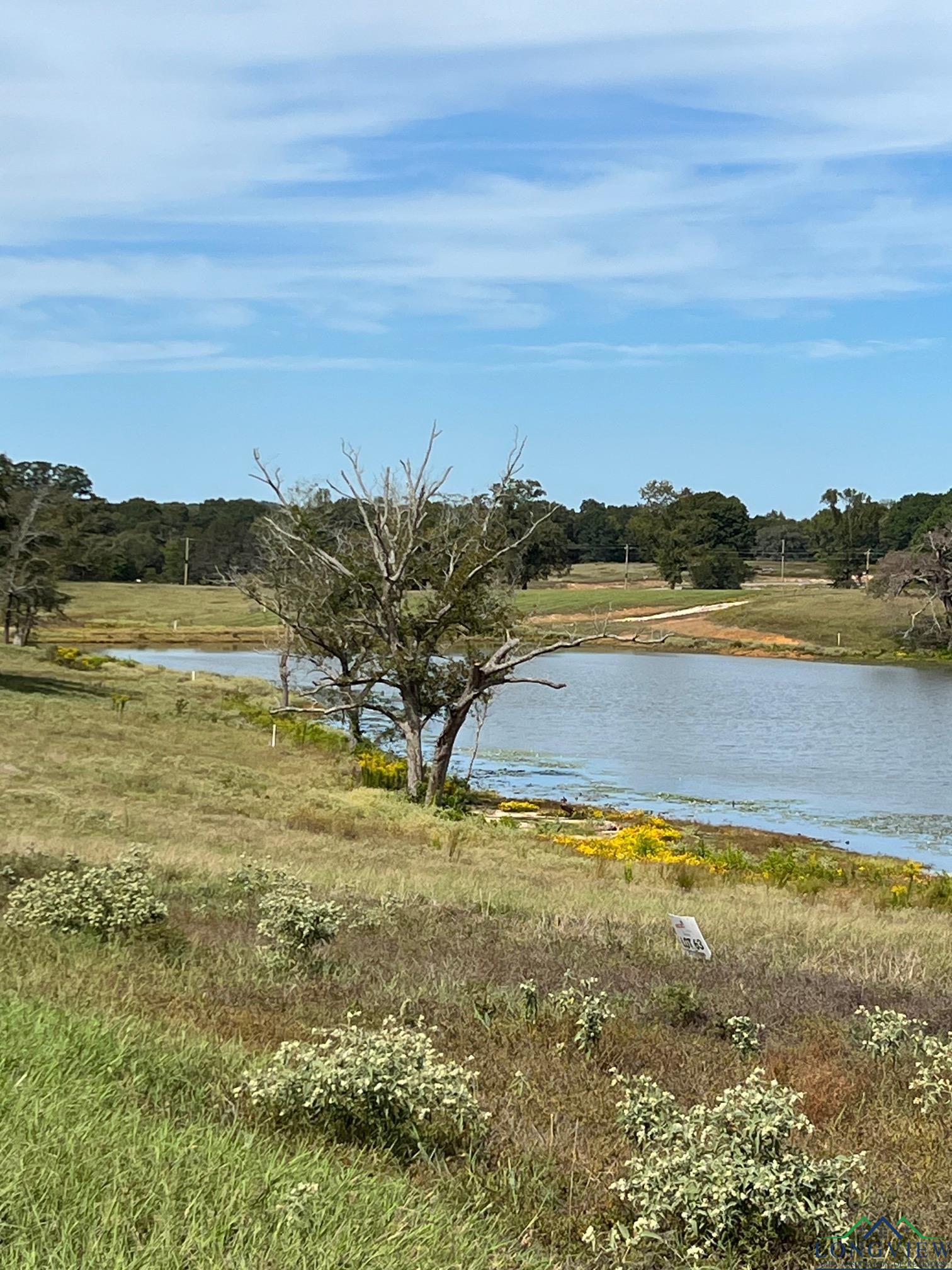 Pr 3198, Gladewater, Texas image 1