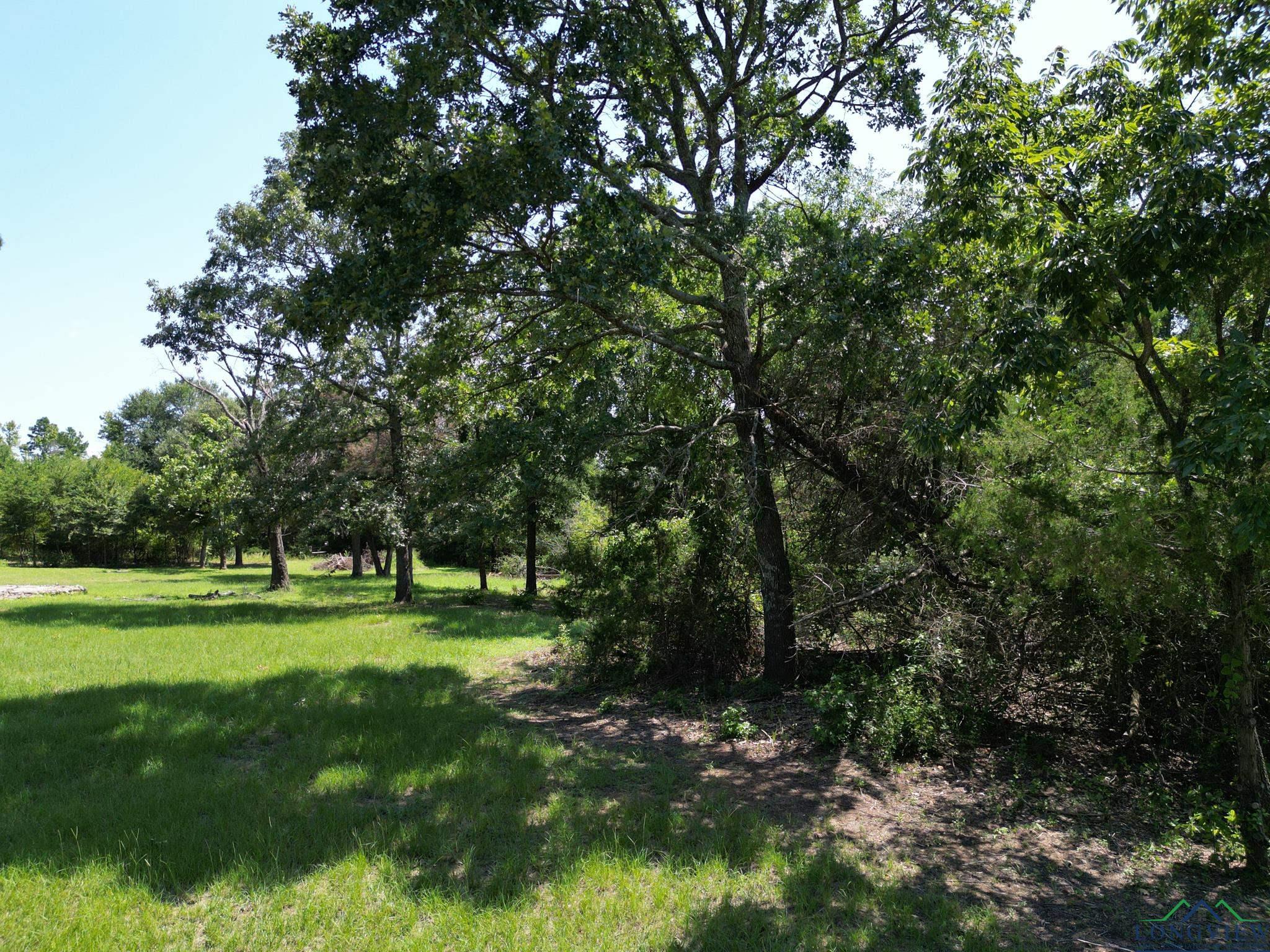 516 Bluewood Rd, Big Sandy, Texas image 11