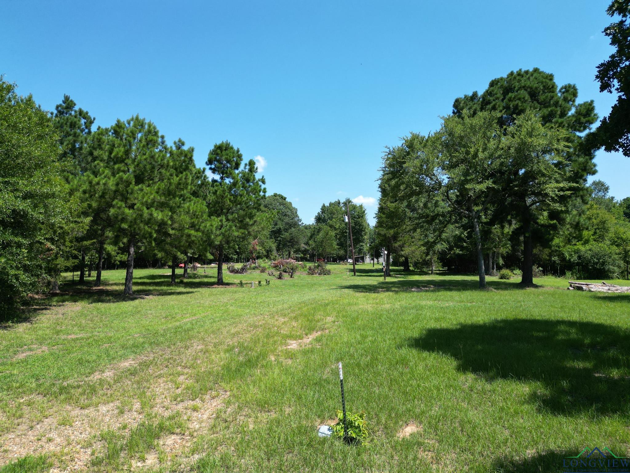 516 Bluewood Rd, Big Sandy, Texas image 6