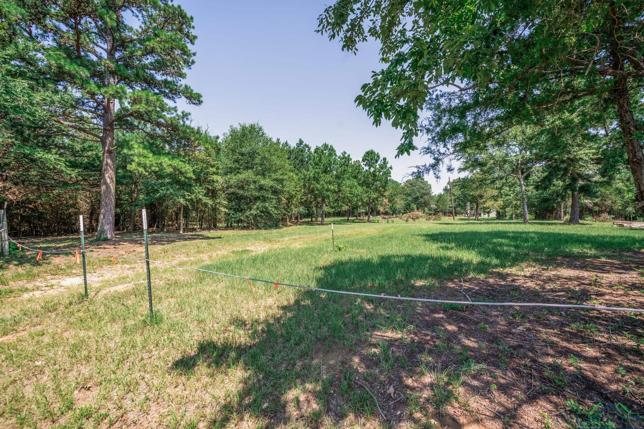 516 Bluewood Rd, Big Sandy, Texas image 1