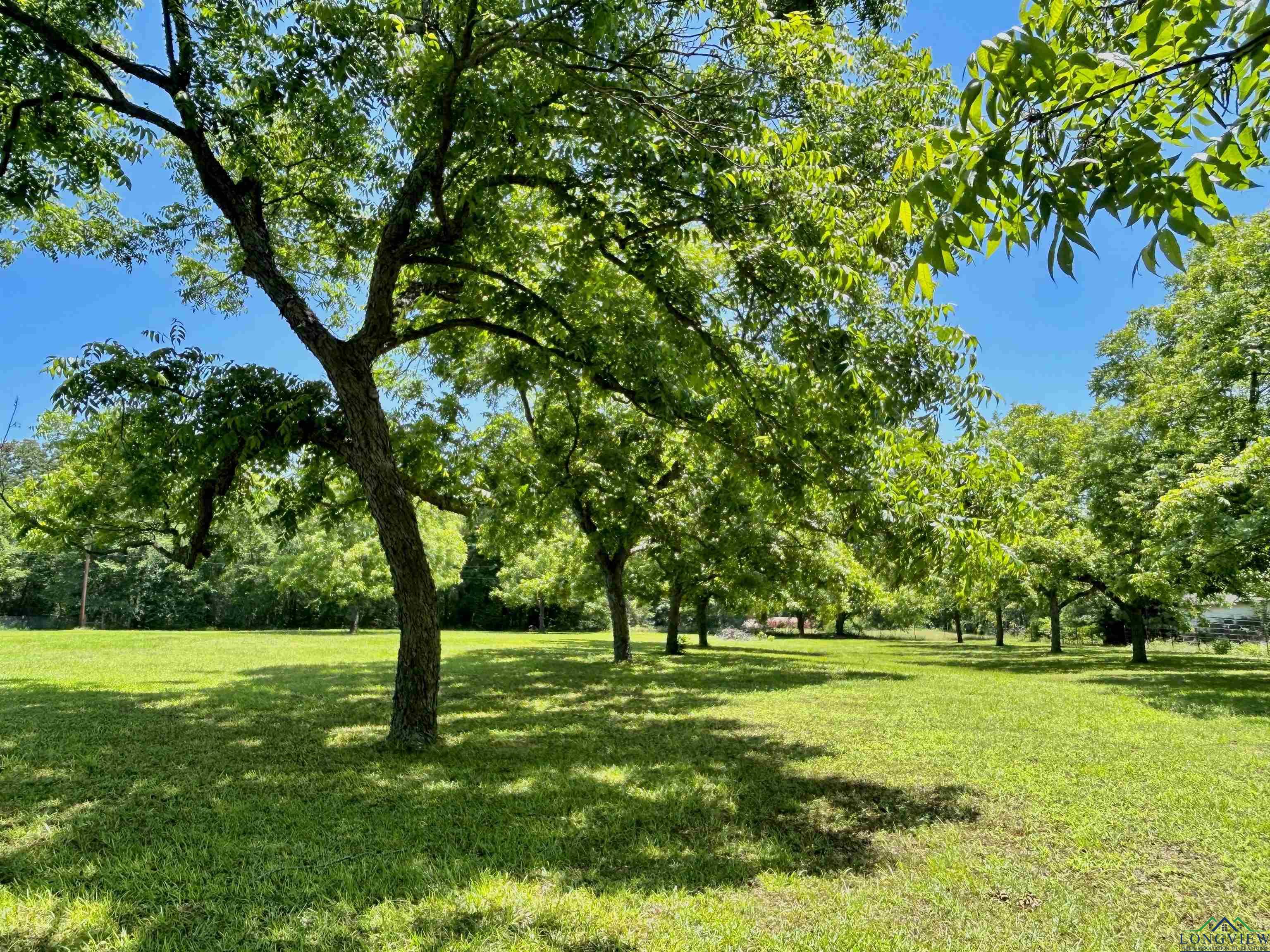 9673 Pleasant Hollow Rd, Tyler, New Mexico image 19