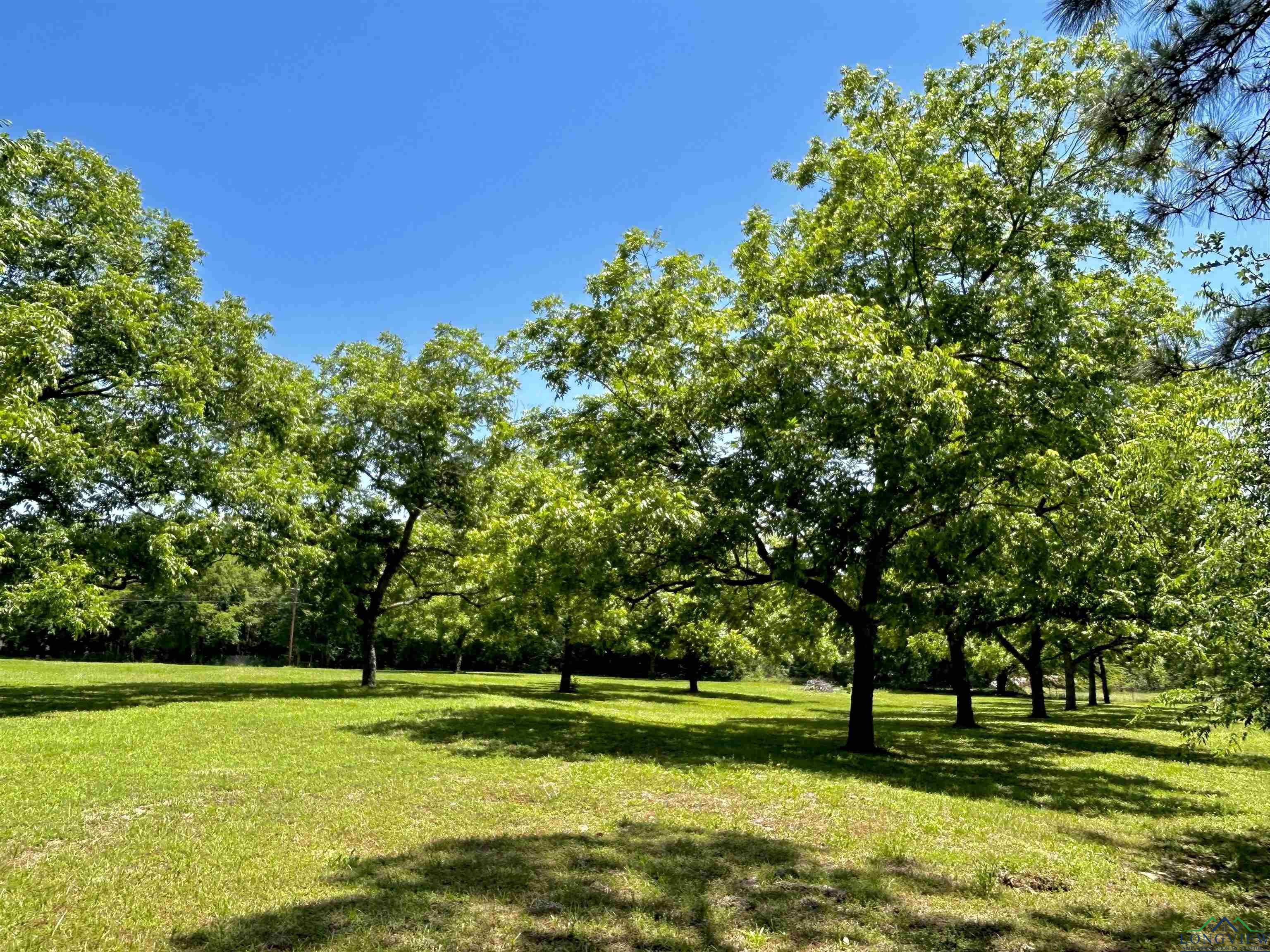 9673 Pleasant Hollow Rd, Tyler, New Mexico image 18