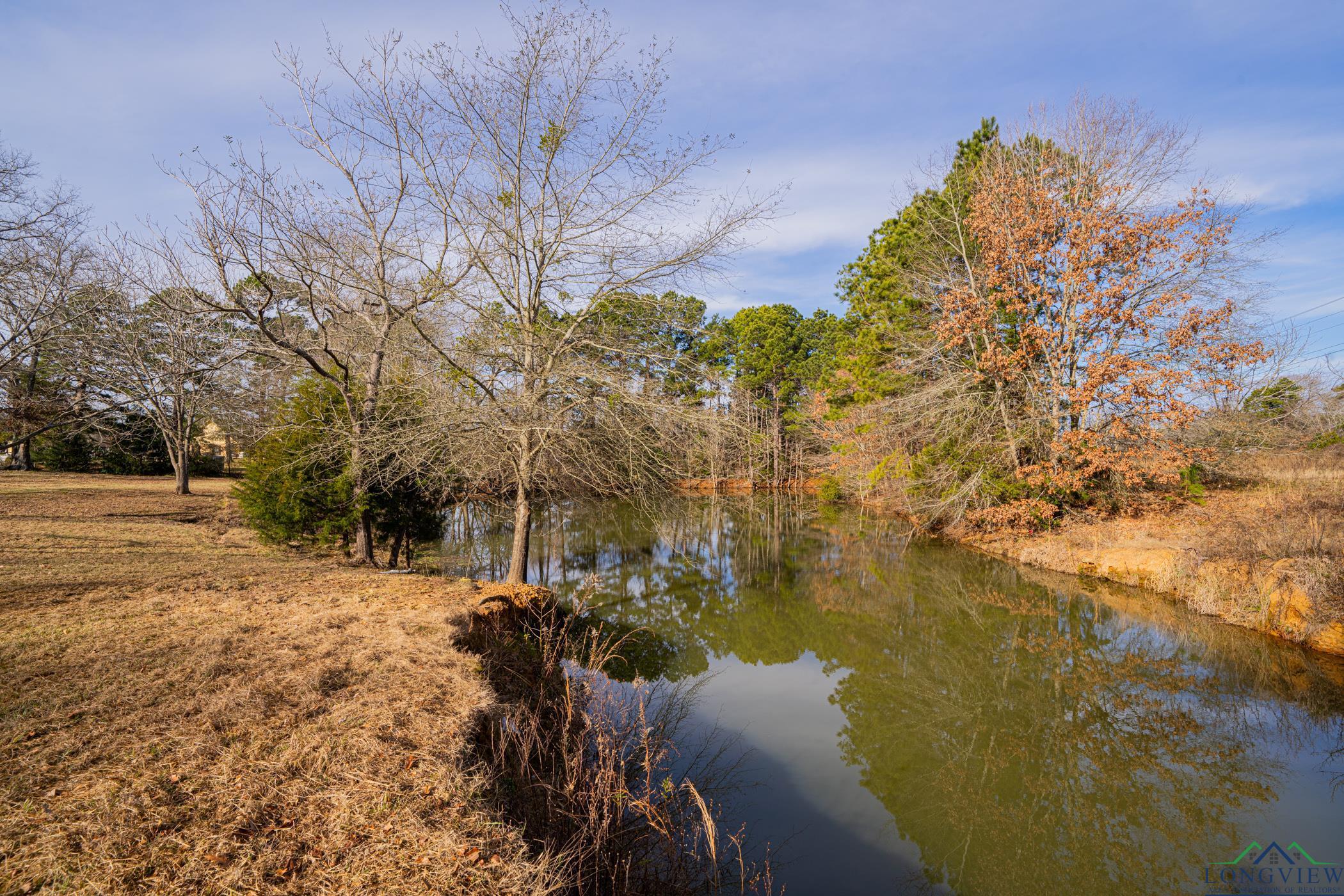 14301 W County Road 294 Street, Arp, Texas image 29