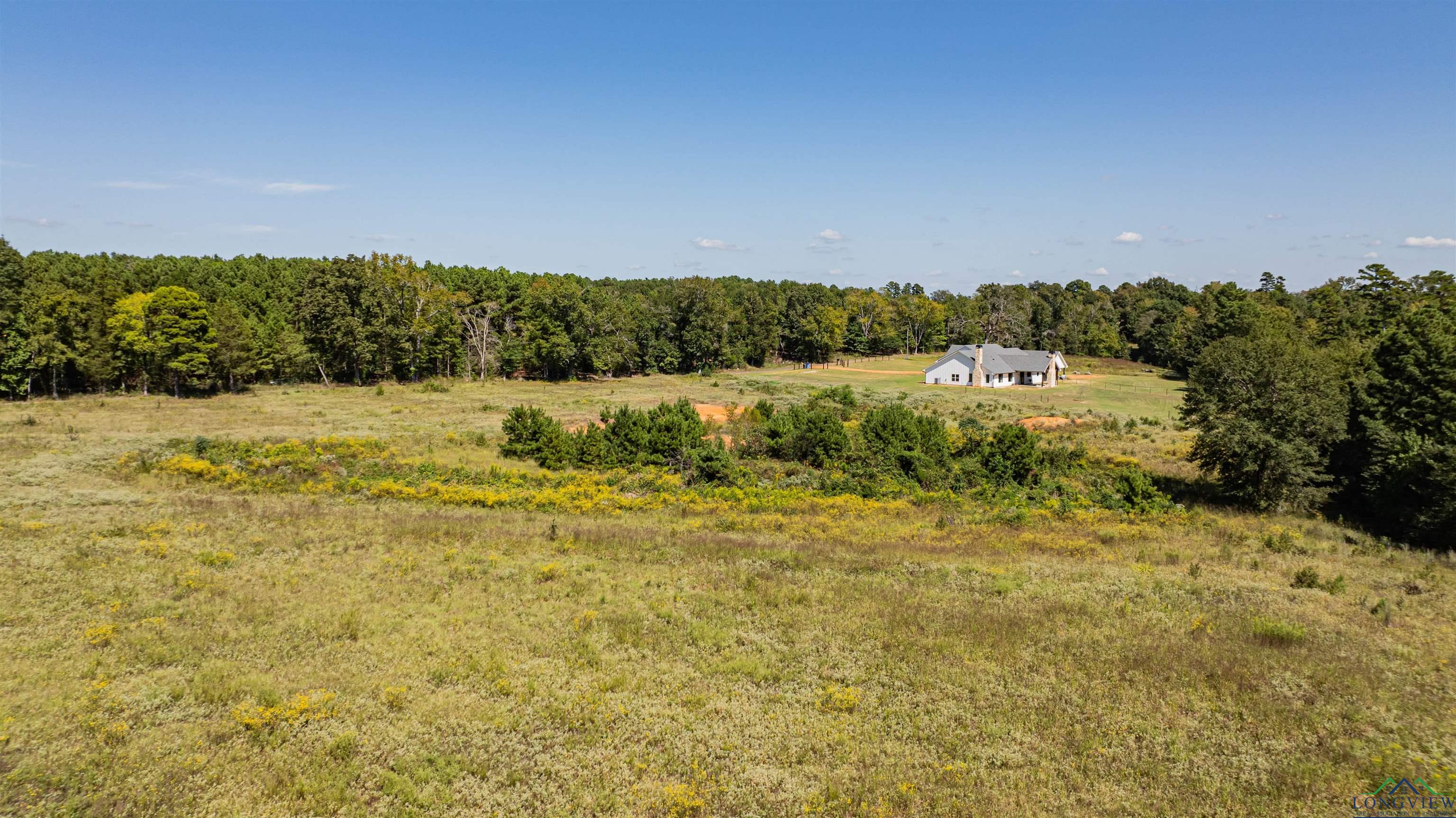 233 Coconut Road, Gilmer, Texas image 38