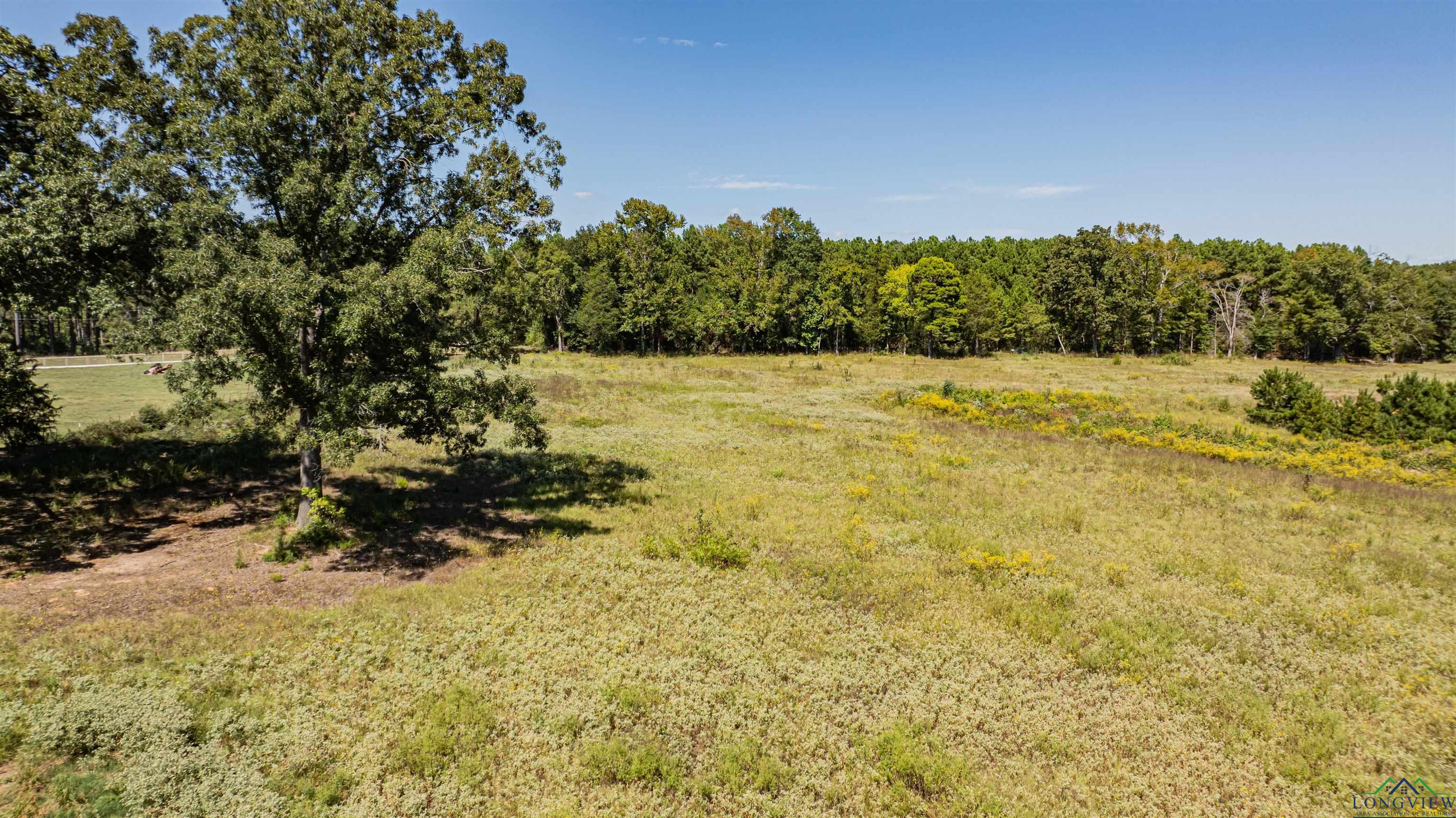 233 Coconut Road, Gilmer, Texas image 35