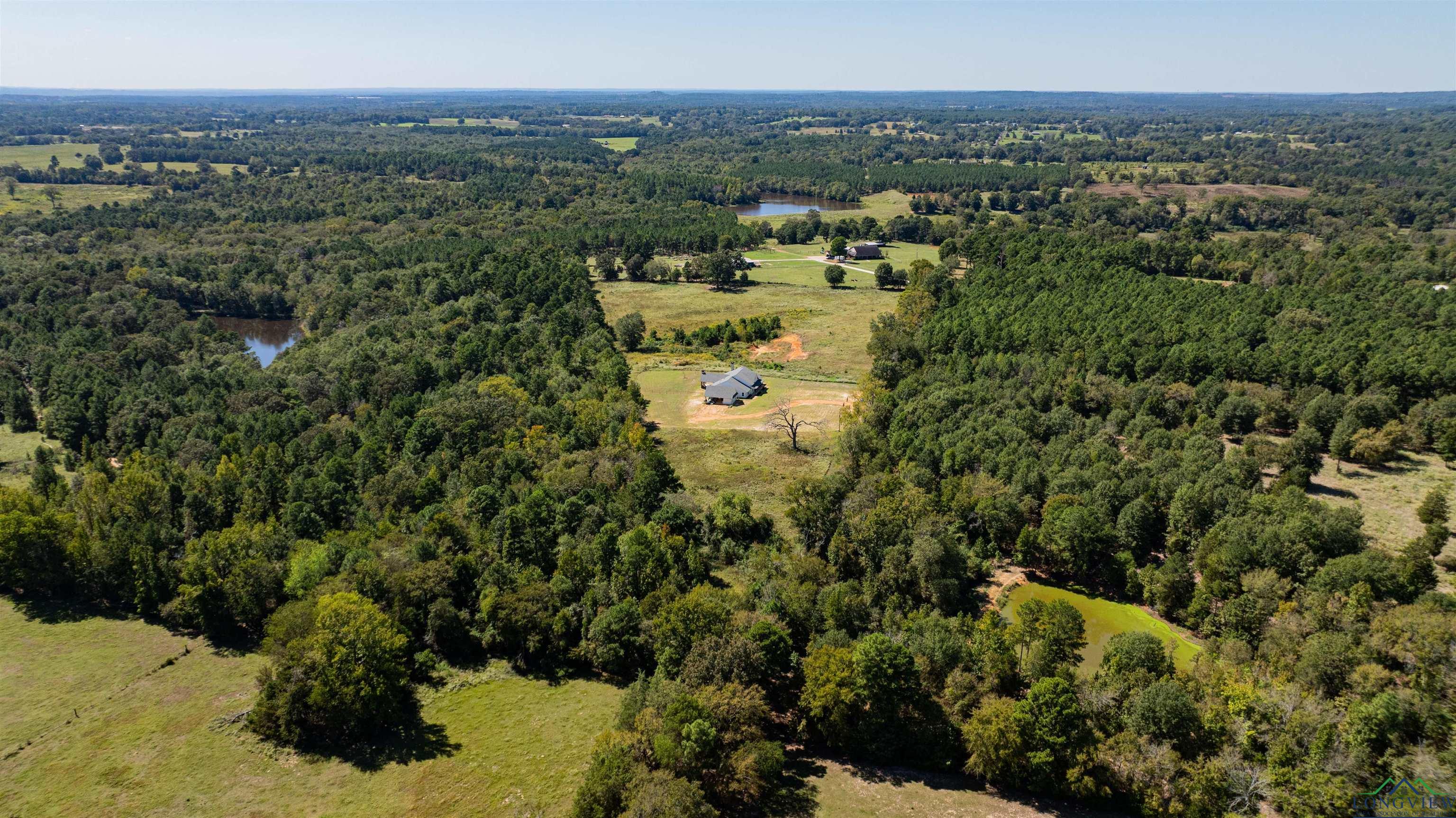 233 Coconut Road, Gilmer, Texas image 49