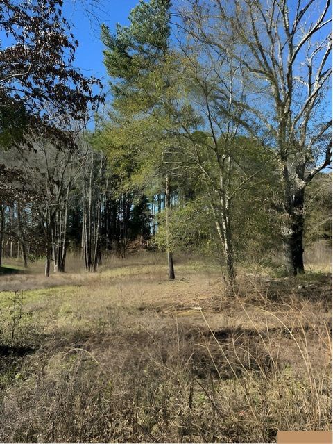 Vacant Land For Sale - LOT 3 Berrycreek Circle<br/> Frankston, TX 75763