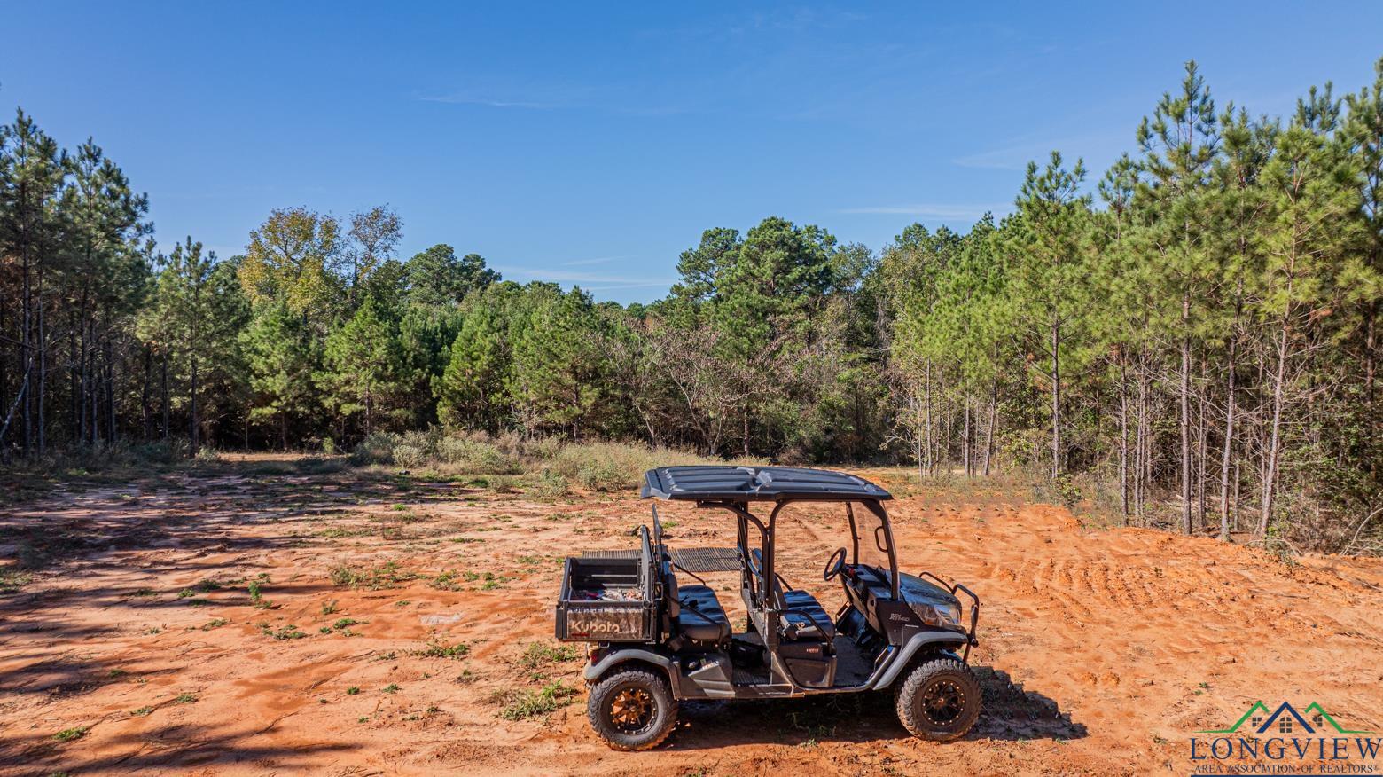 TBD Firetower Rd, Hallsville, Texas image 12