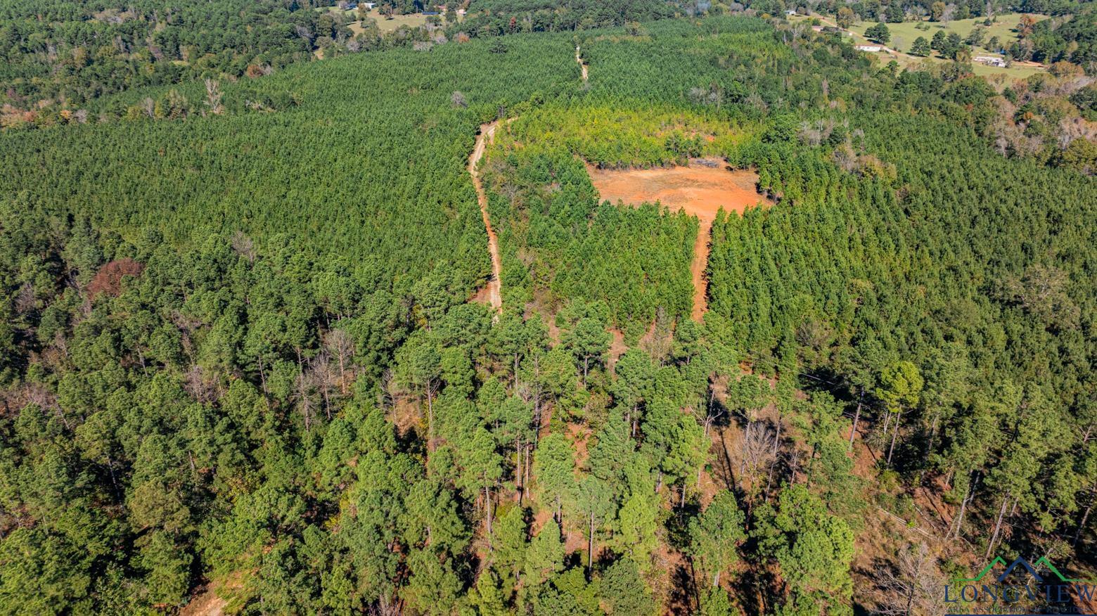 TBD Firetower Rd, Hallsville, Texas image 7