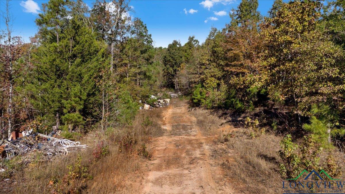 TBD Pr 1062, Gilmer, Texas image 11