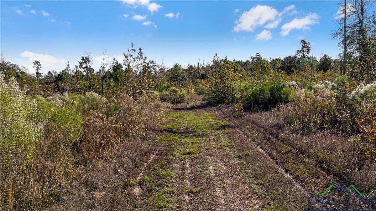 TBD Pr 1062, Gilmer, Texas image 9