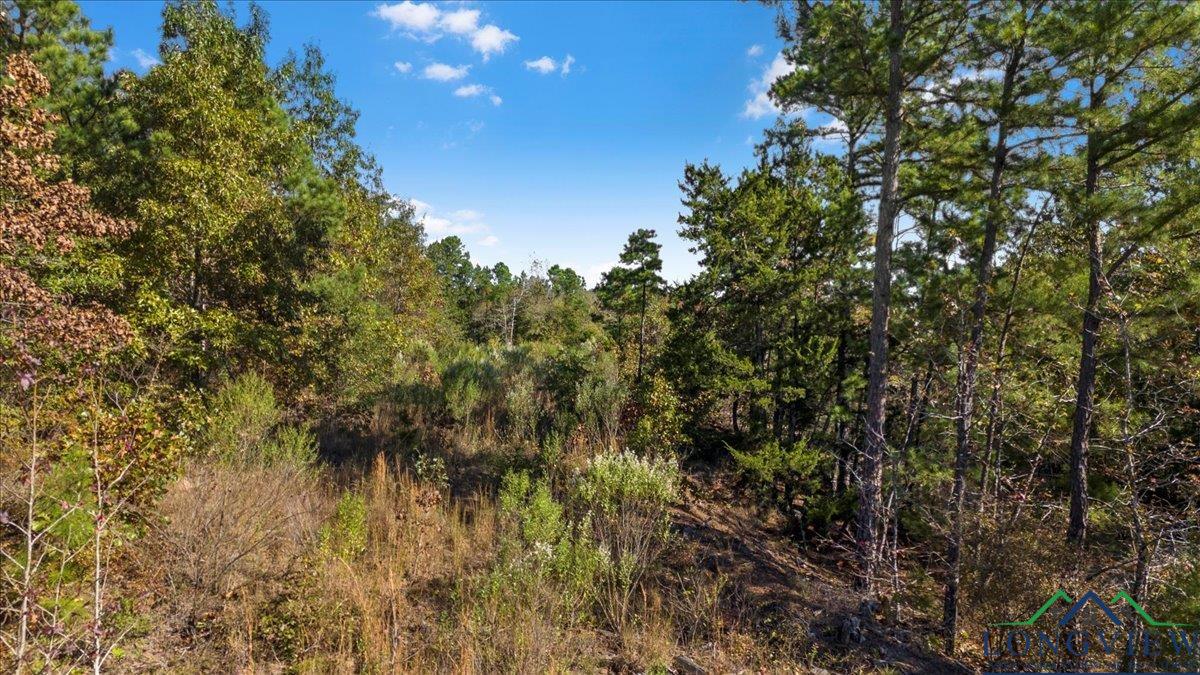 TBD Pr 1062, Gilmer, Texas image 12