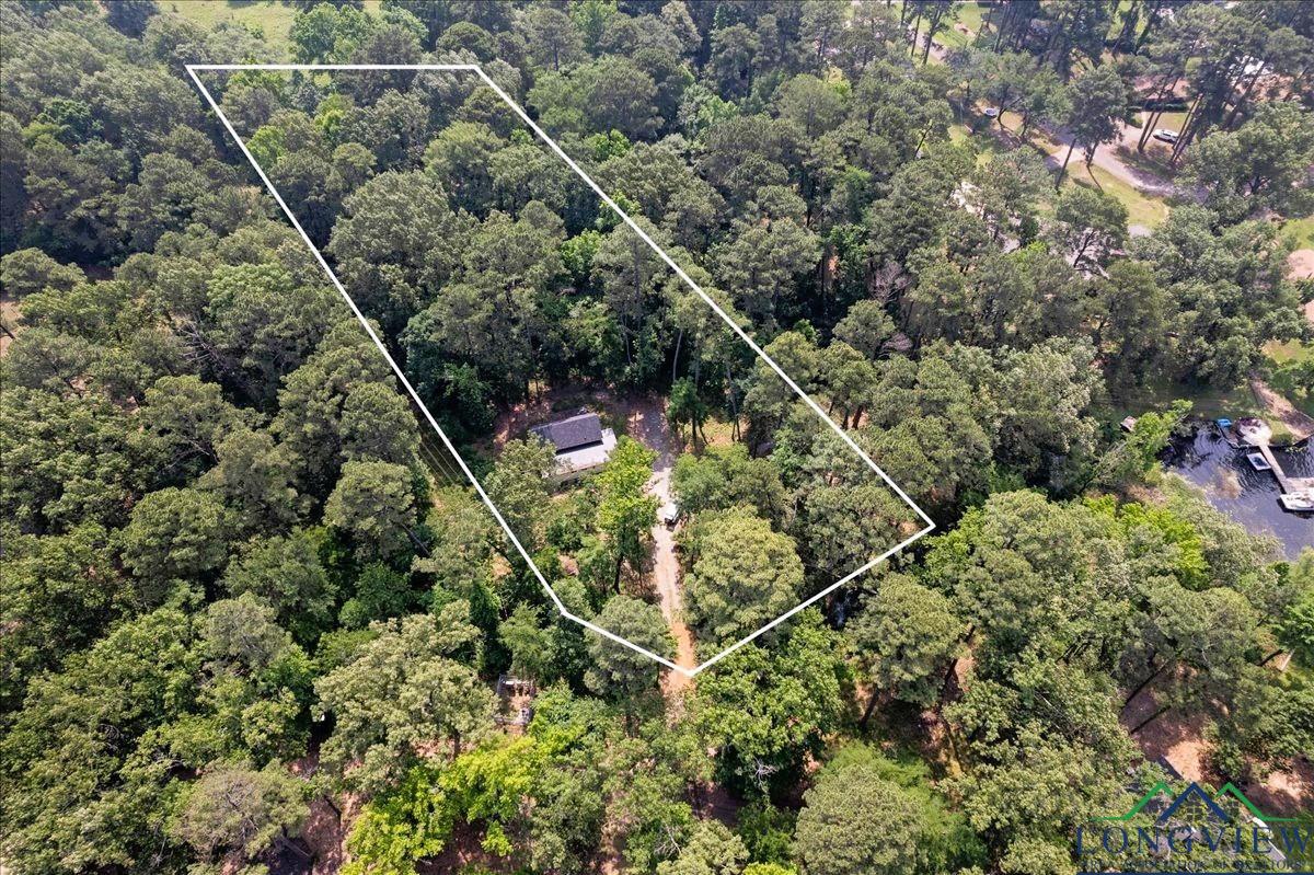 299 Southshore Drive, Lone Star, Texas image 31