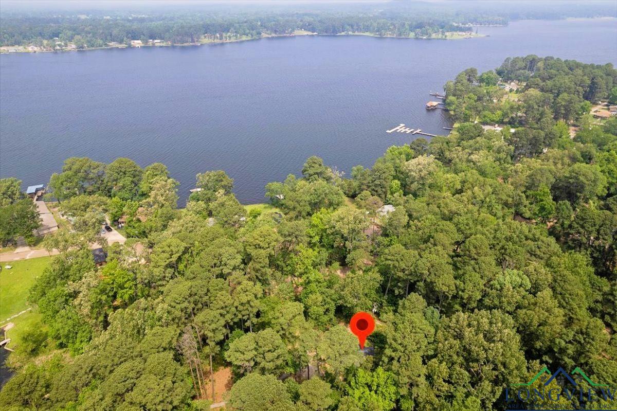 299 Southshore Drive, Lone Star, Texas image 38