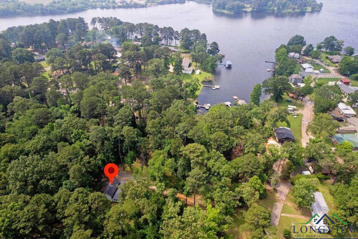 299 Southshore Drive, Lone Star, Texas image 33